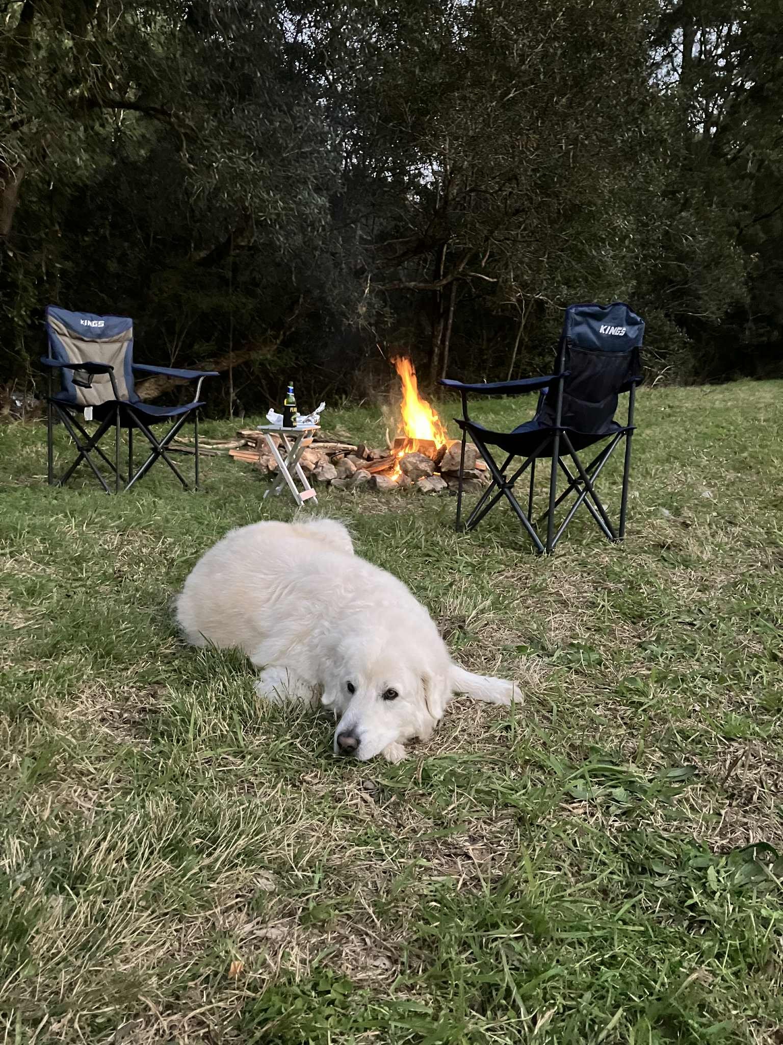 Elsewhere (Escape2Nature)