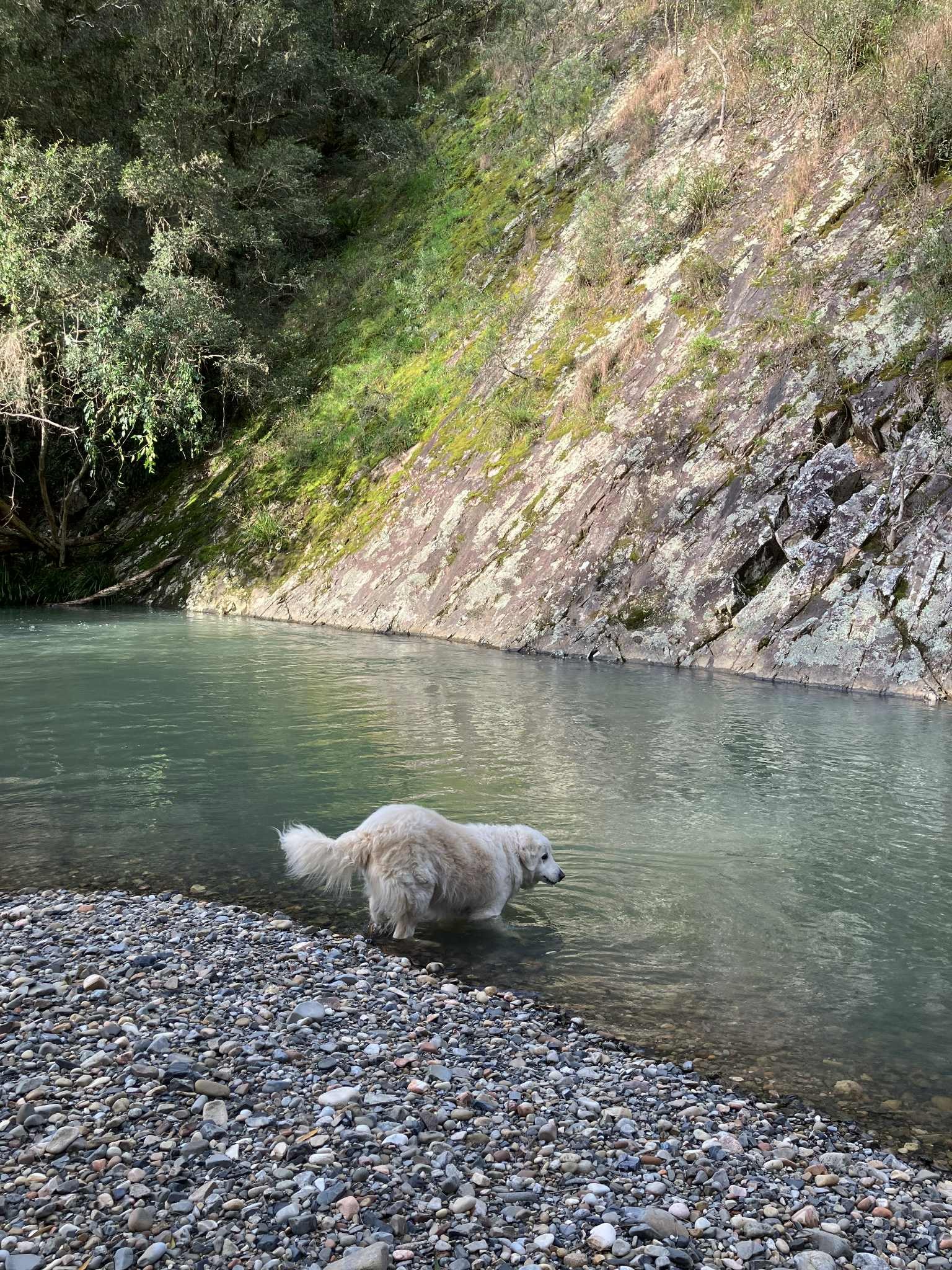 Elsewhere (Escape2Nature)