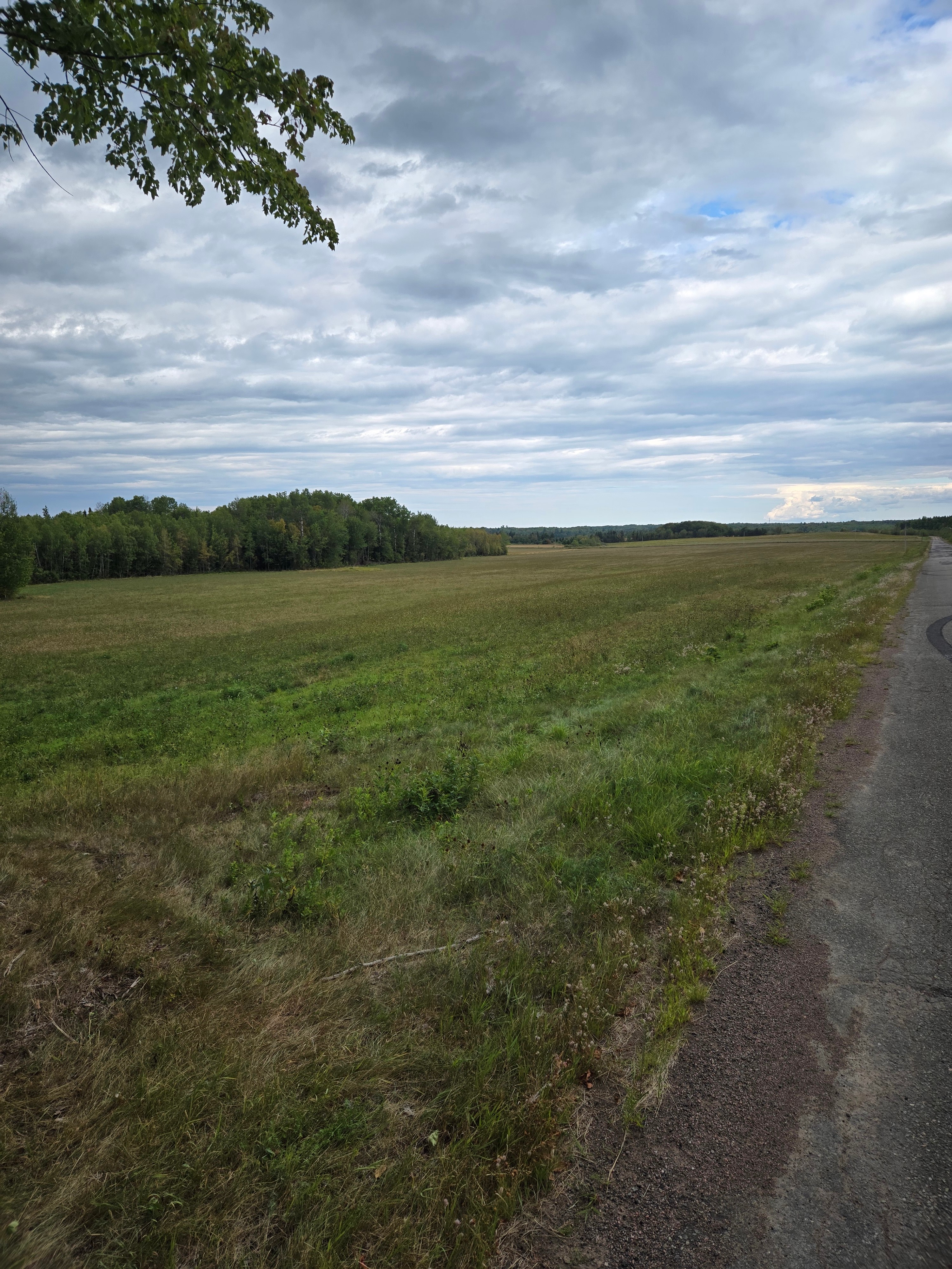 Nature's Symphony Retreat