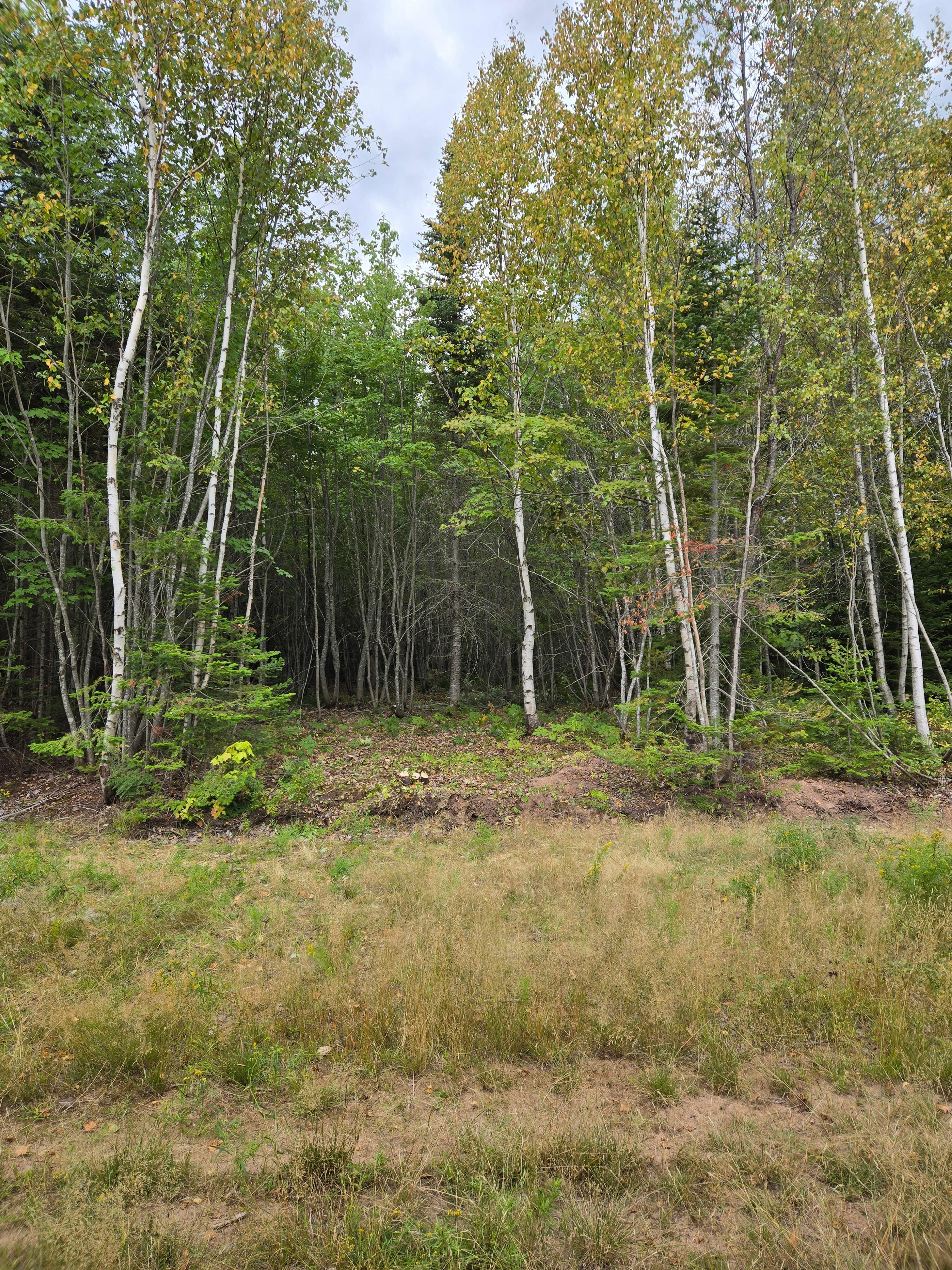 Nature's Symphony Retreat