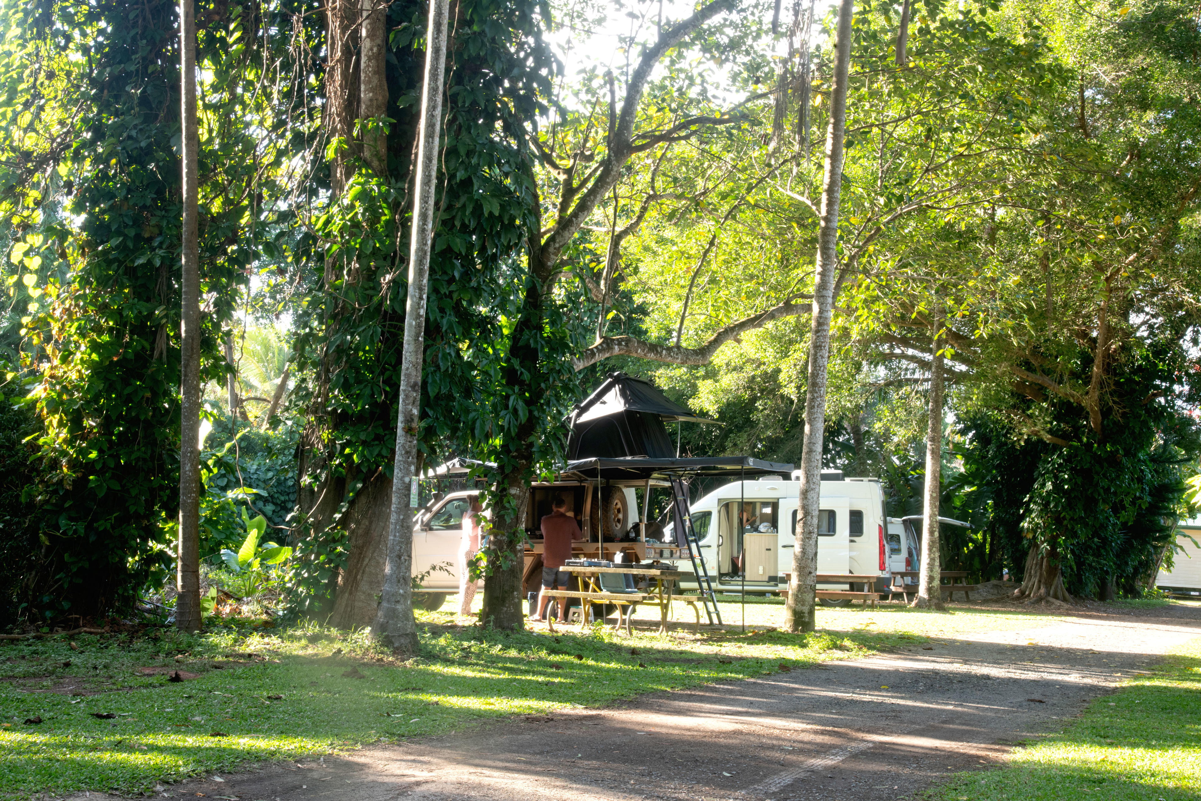 Tropical Hibiscus Caravan Park