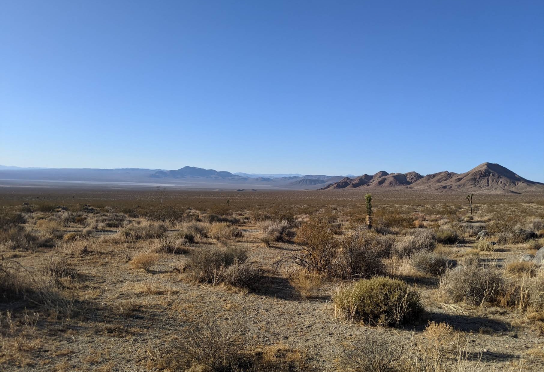 FoxTrotter House Boondock Community