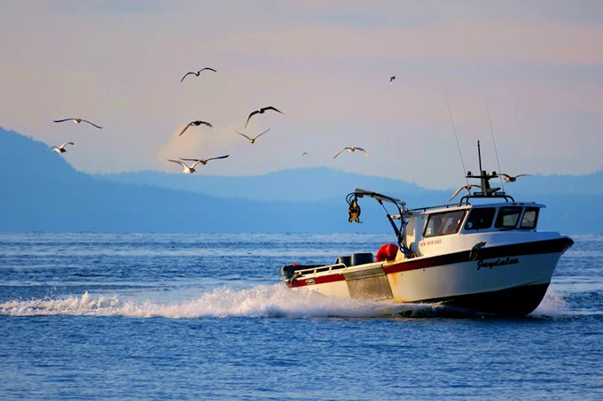 Lighthouse Marine Park