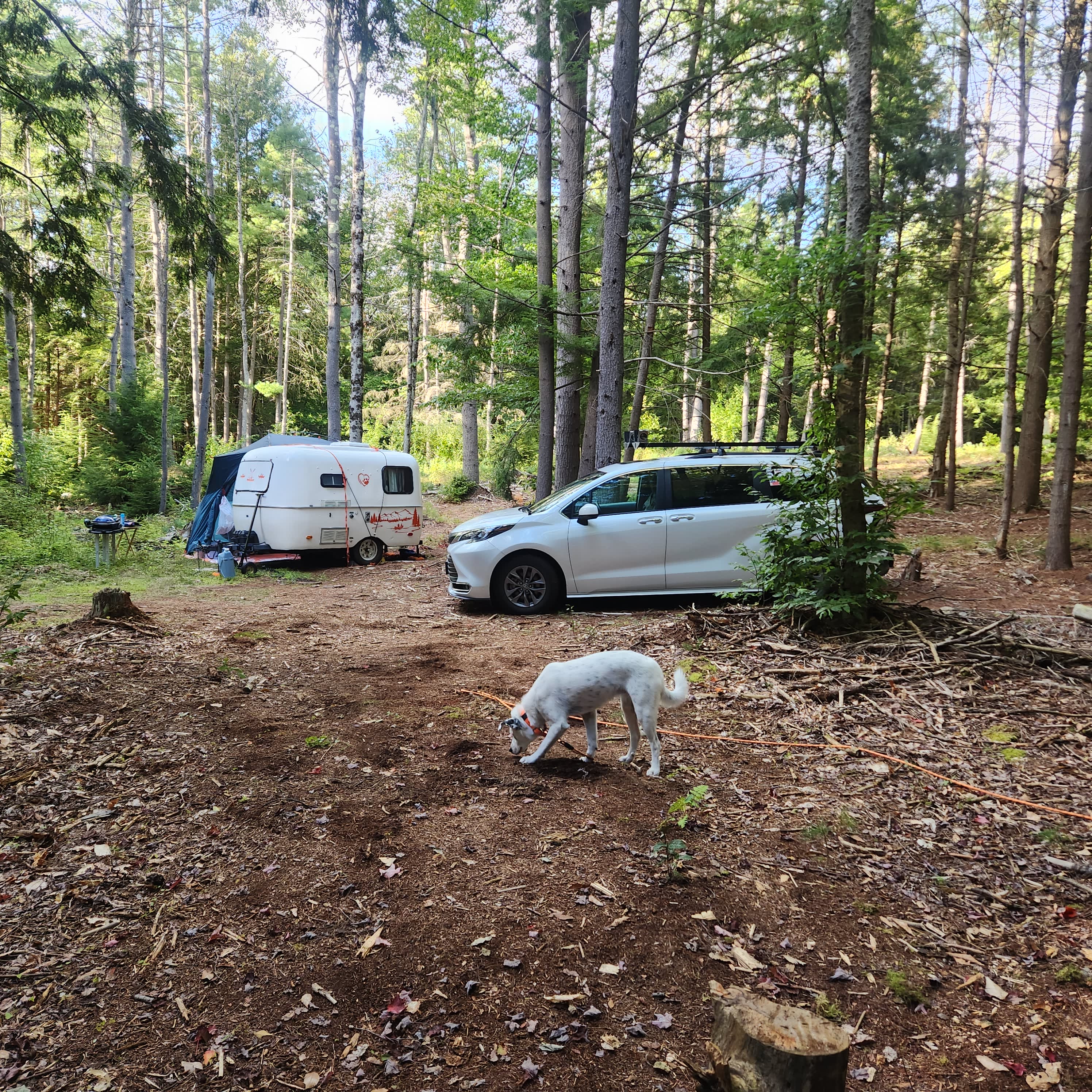 Fish house campsites