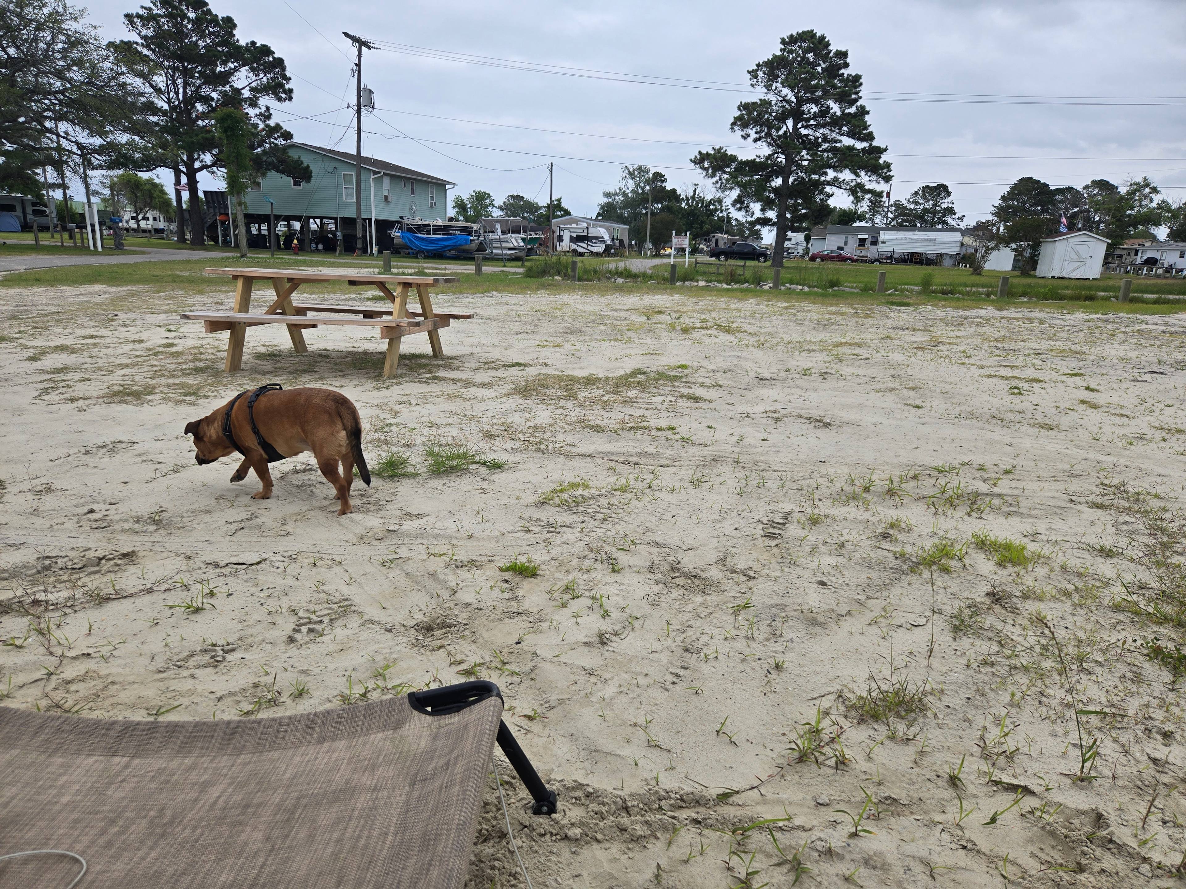 Captain’s Corner ⚓️