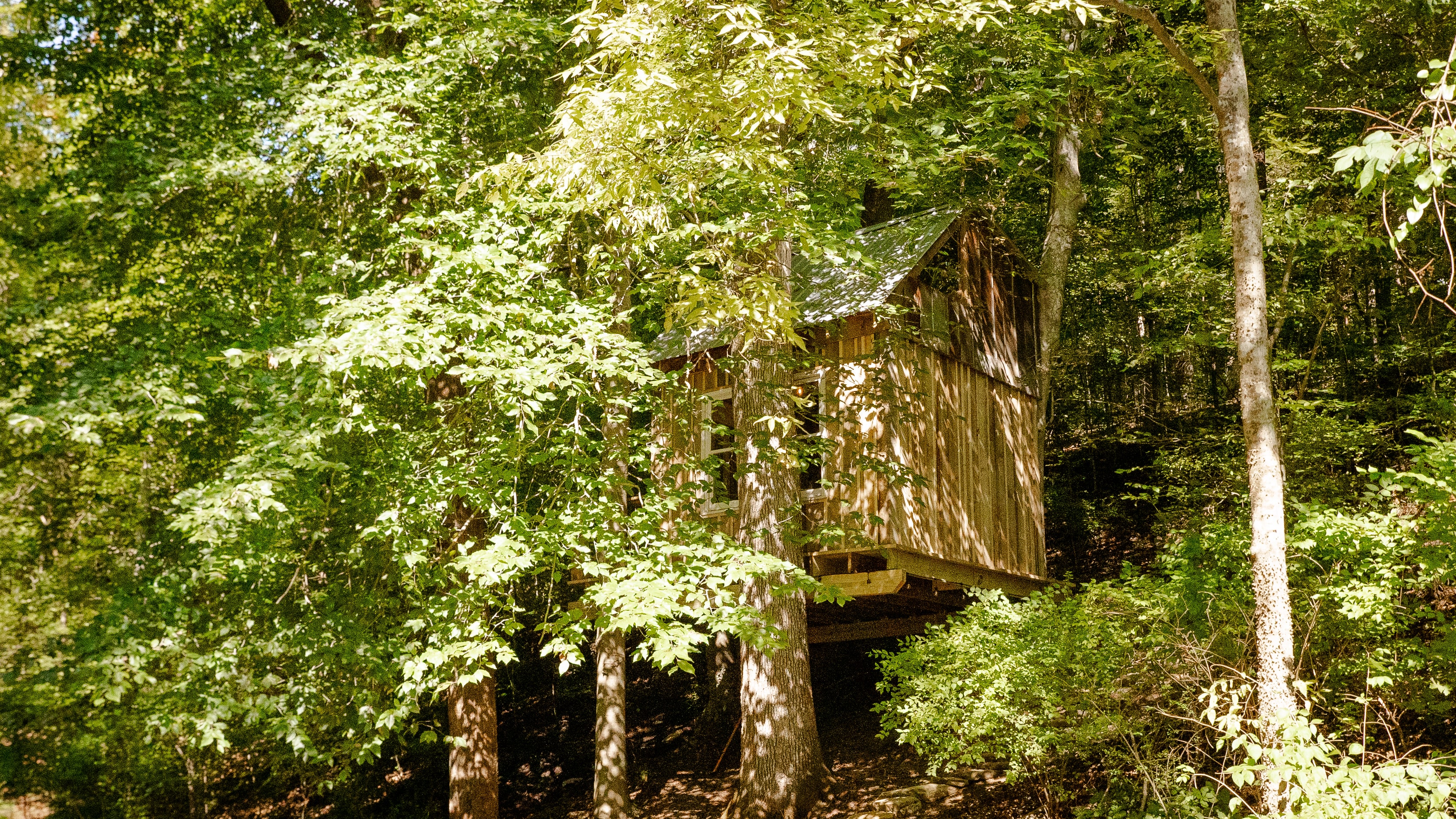 Hickory Hollow Treehouse