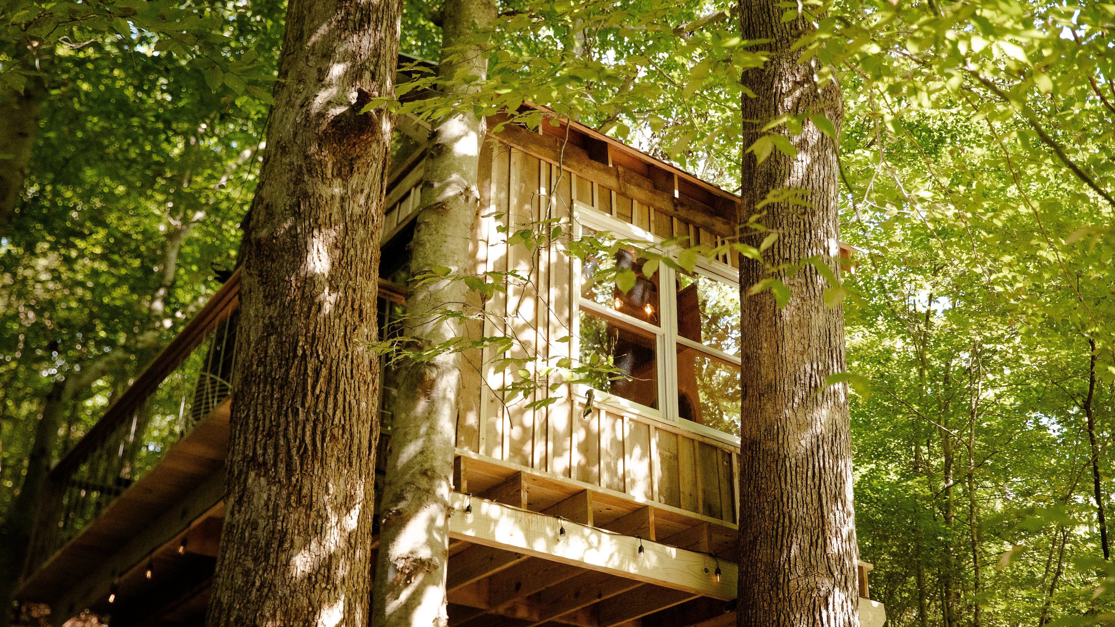 Hickory Hollow Treehouse