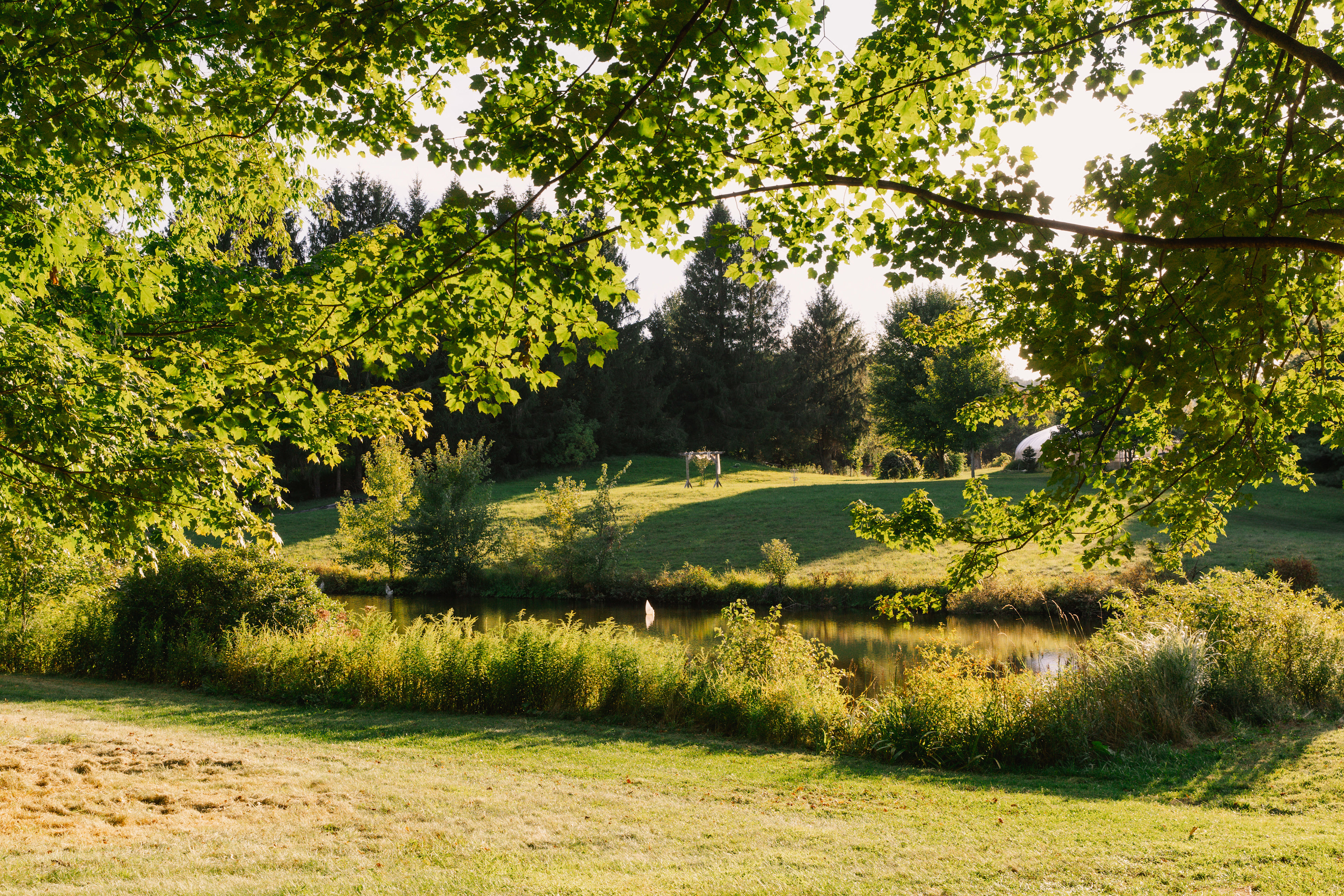 The pond steps away from the site