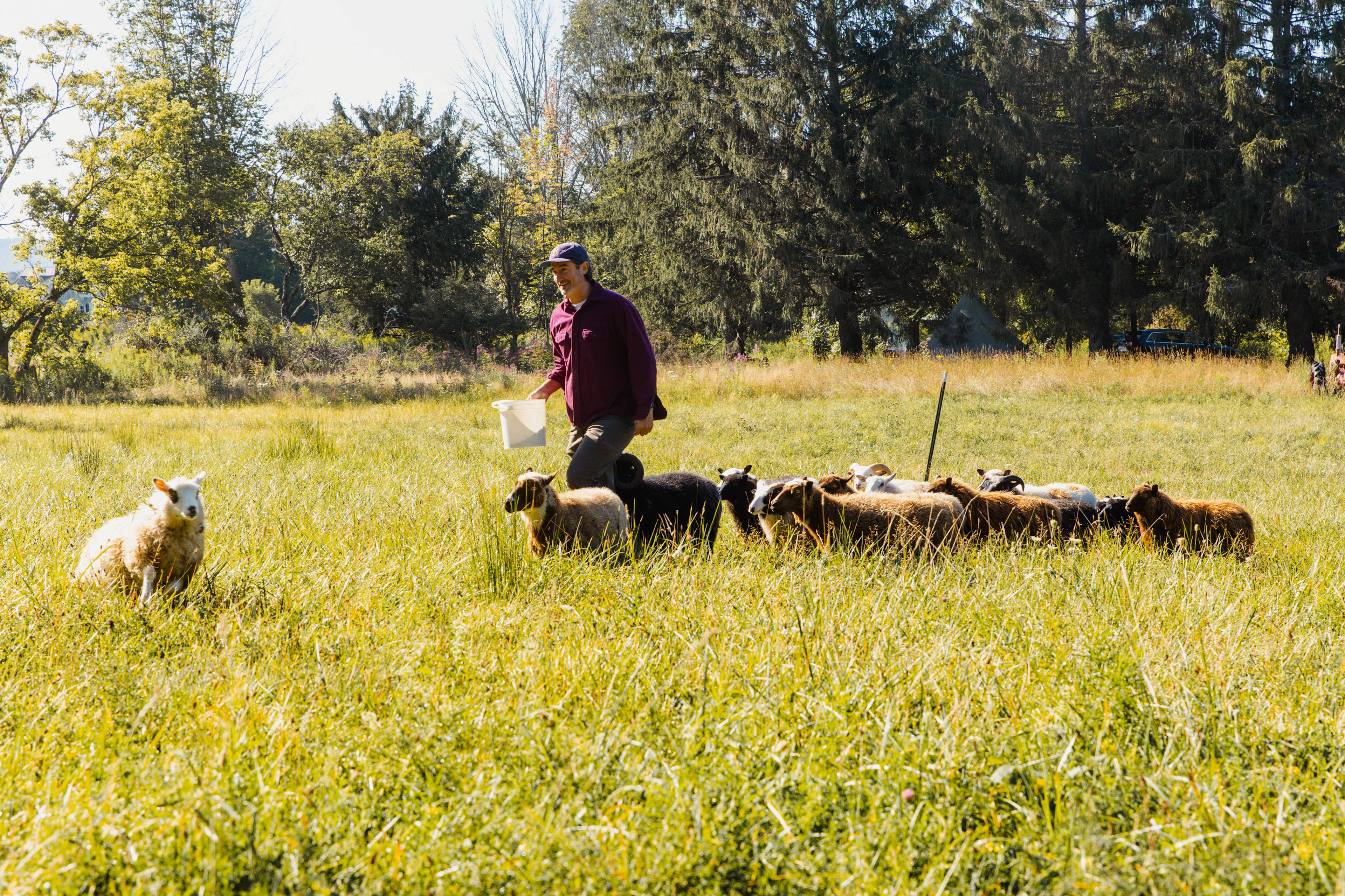 Underhill Forest and Farm