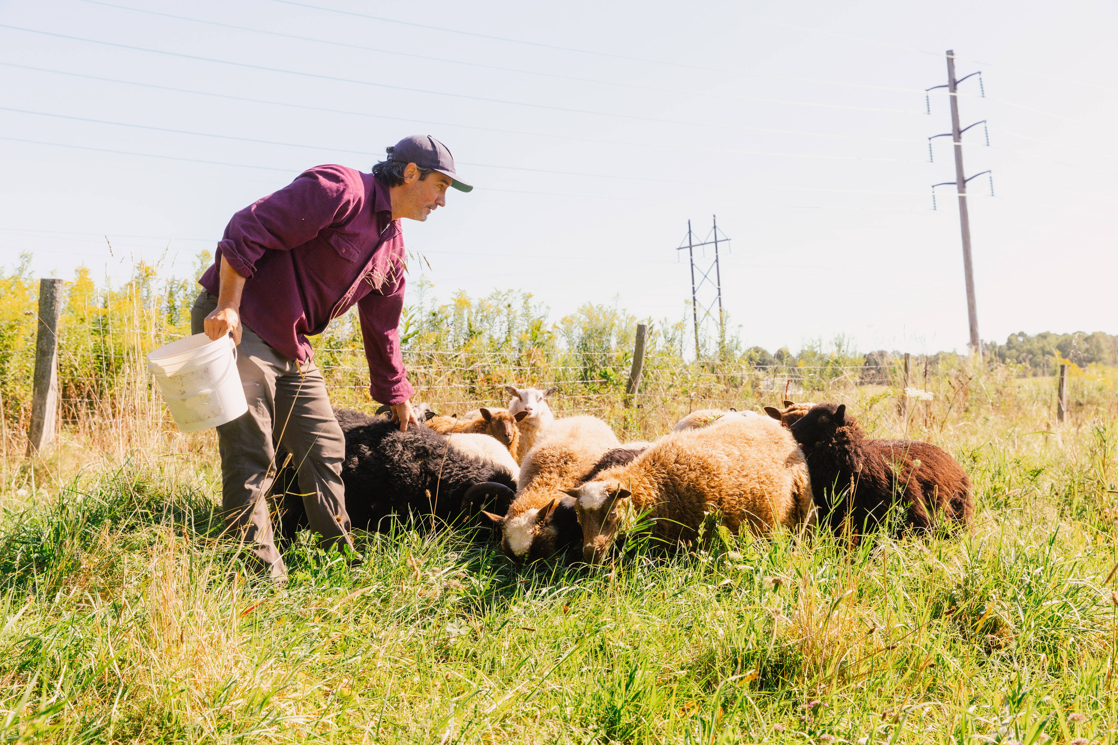 Underhill Forest and Farm