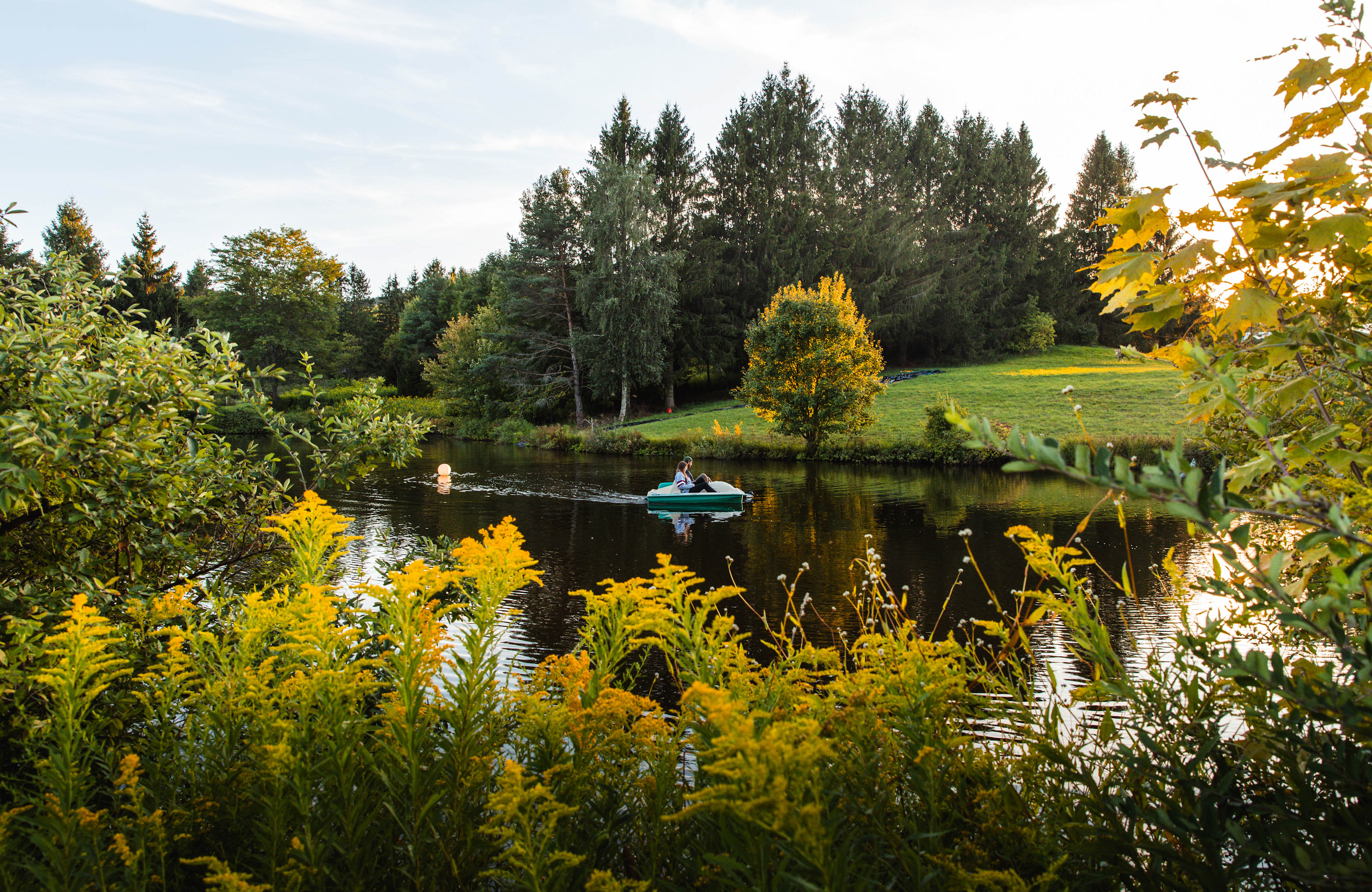 Underhill Forest and Farm