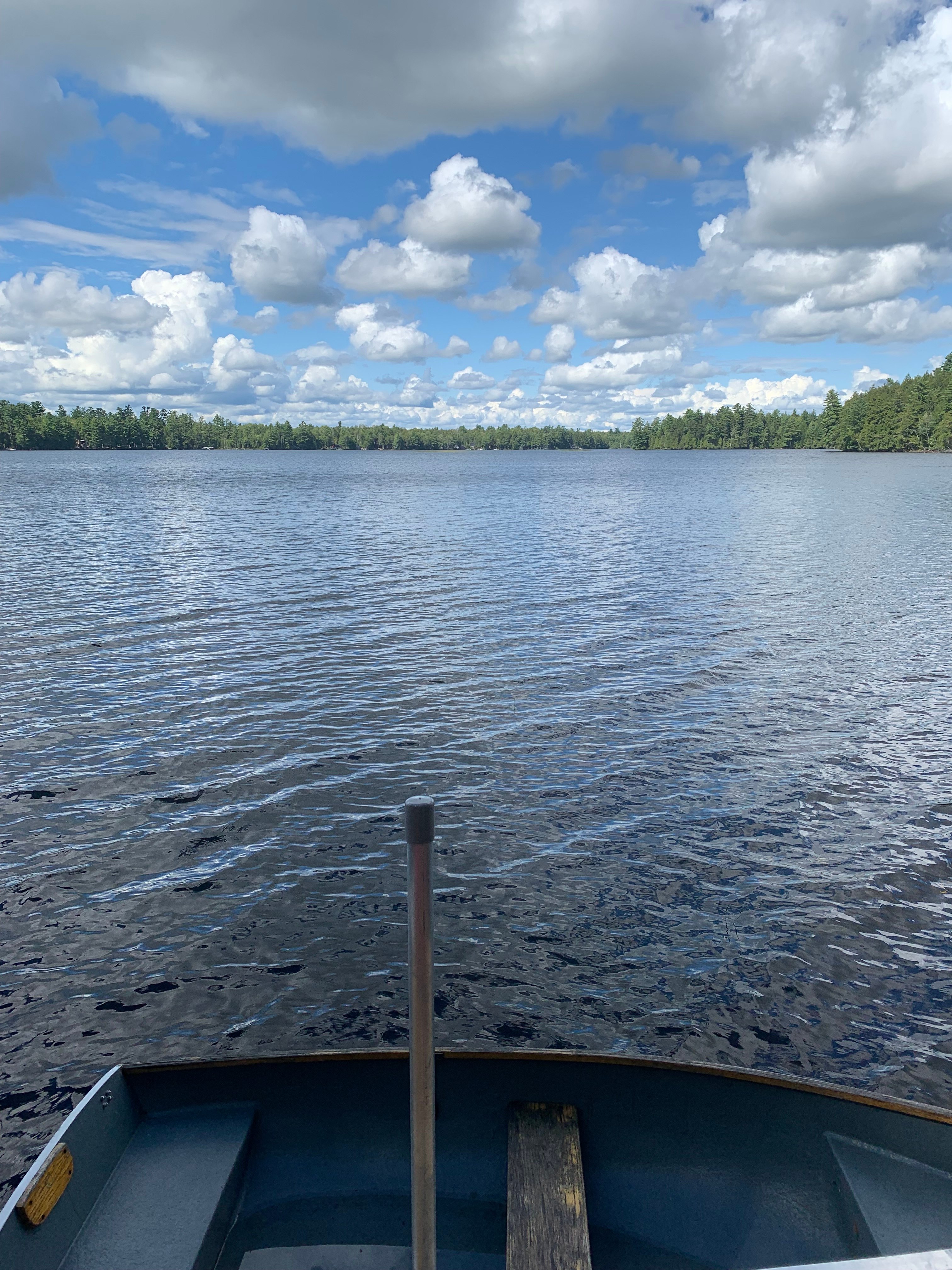 Holbrook Lake Sanctuary