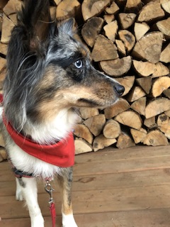 Lakefront Glamping Retreat