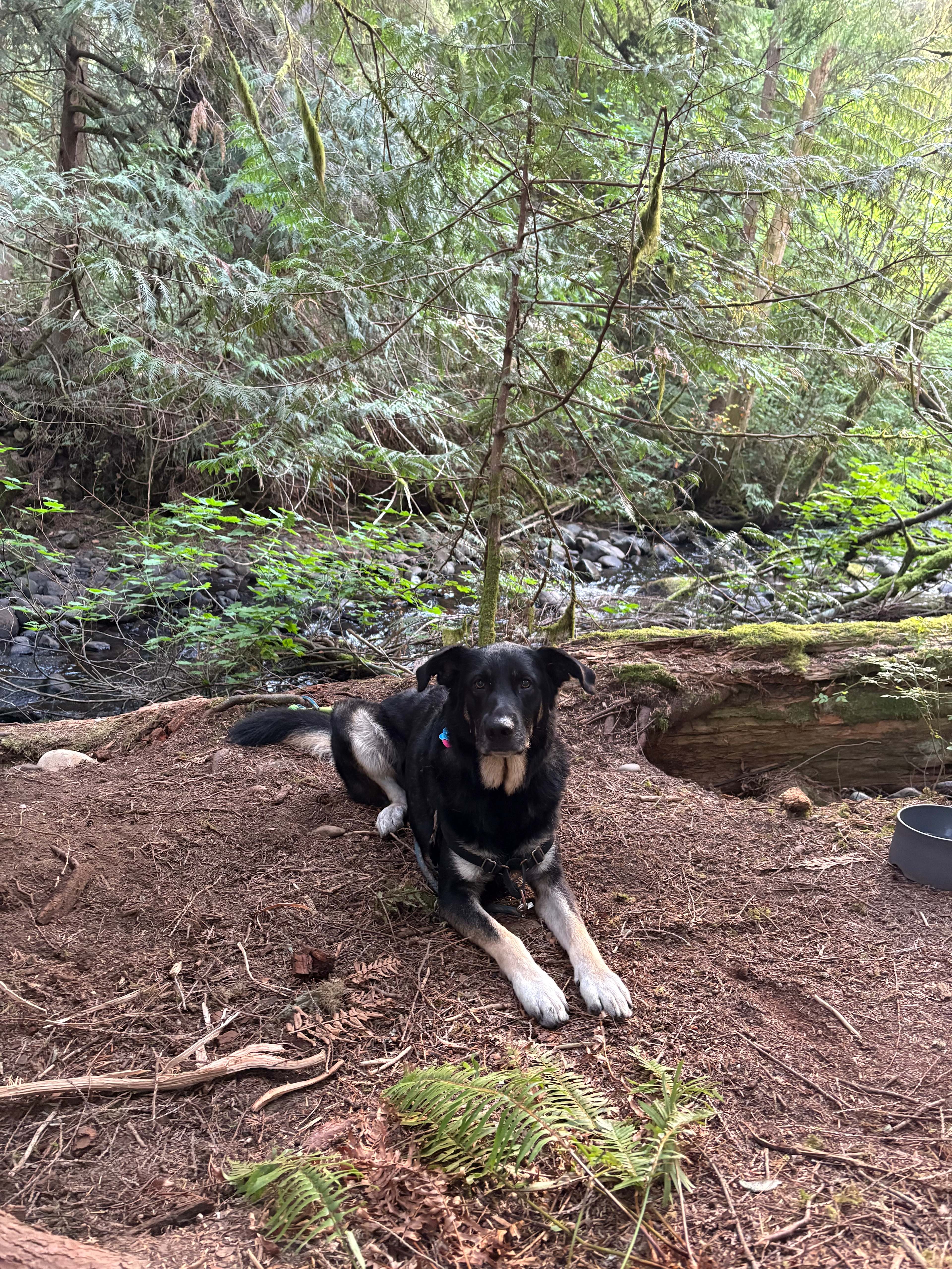 Kingfisher Campground