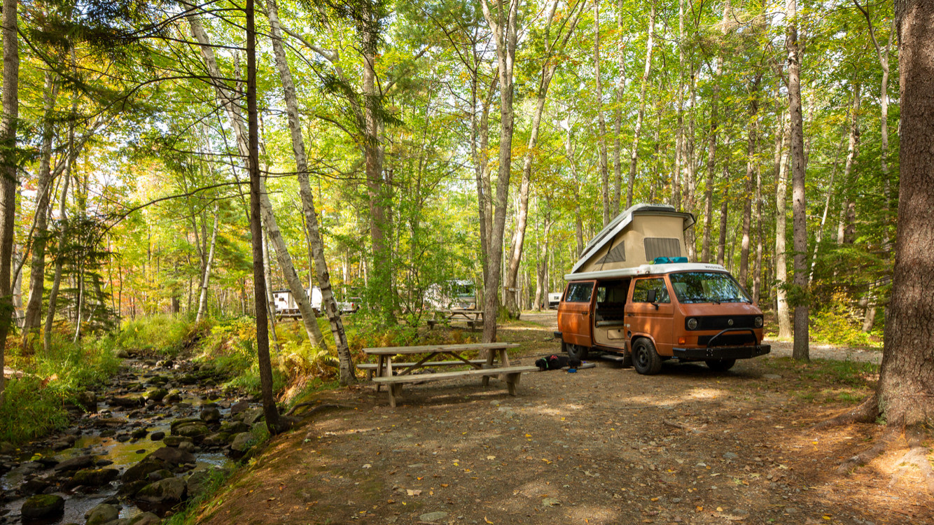 Sea Swell Megunticook