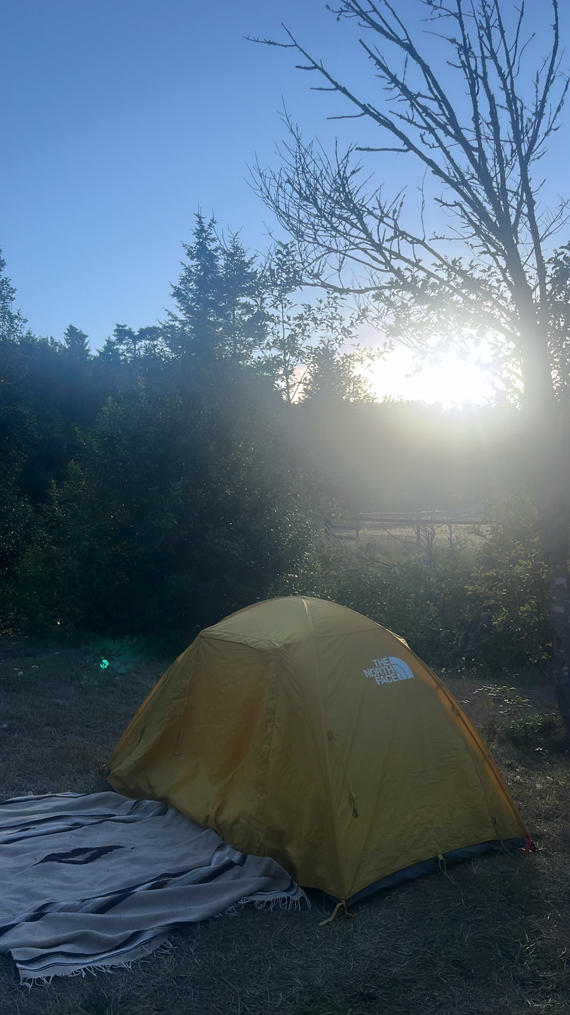 Lobster Creek Campground