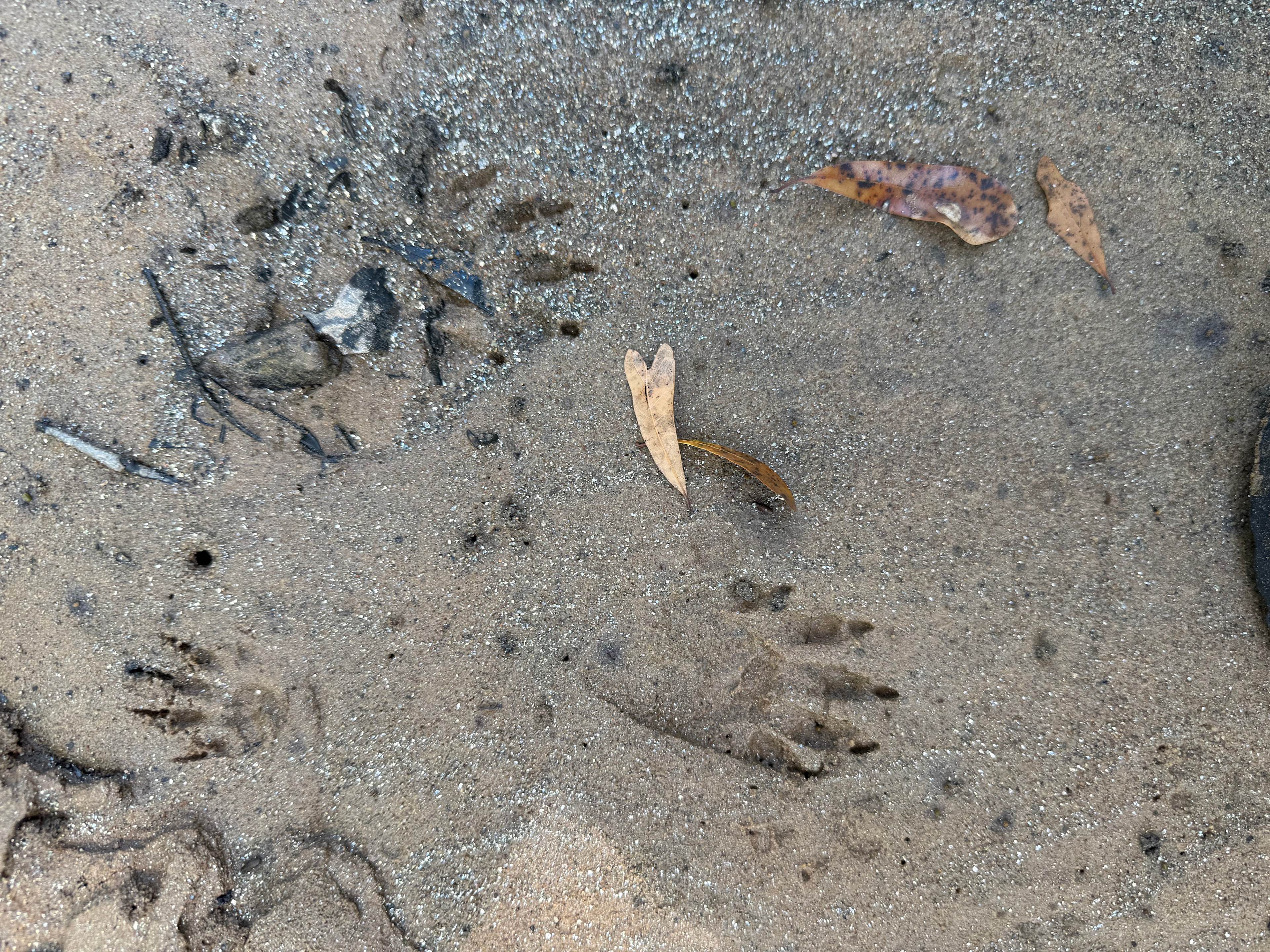 Serenity on the Saluda