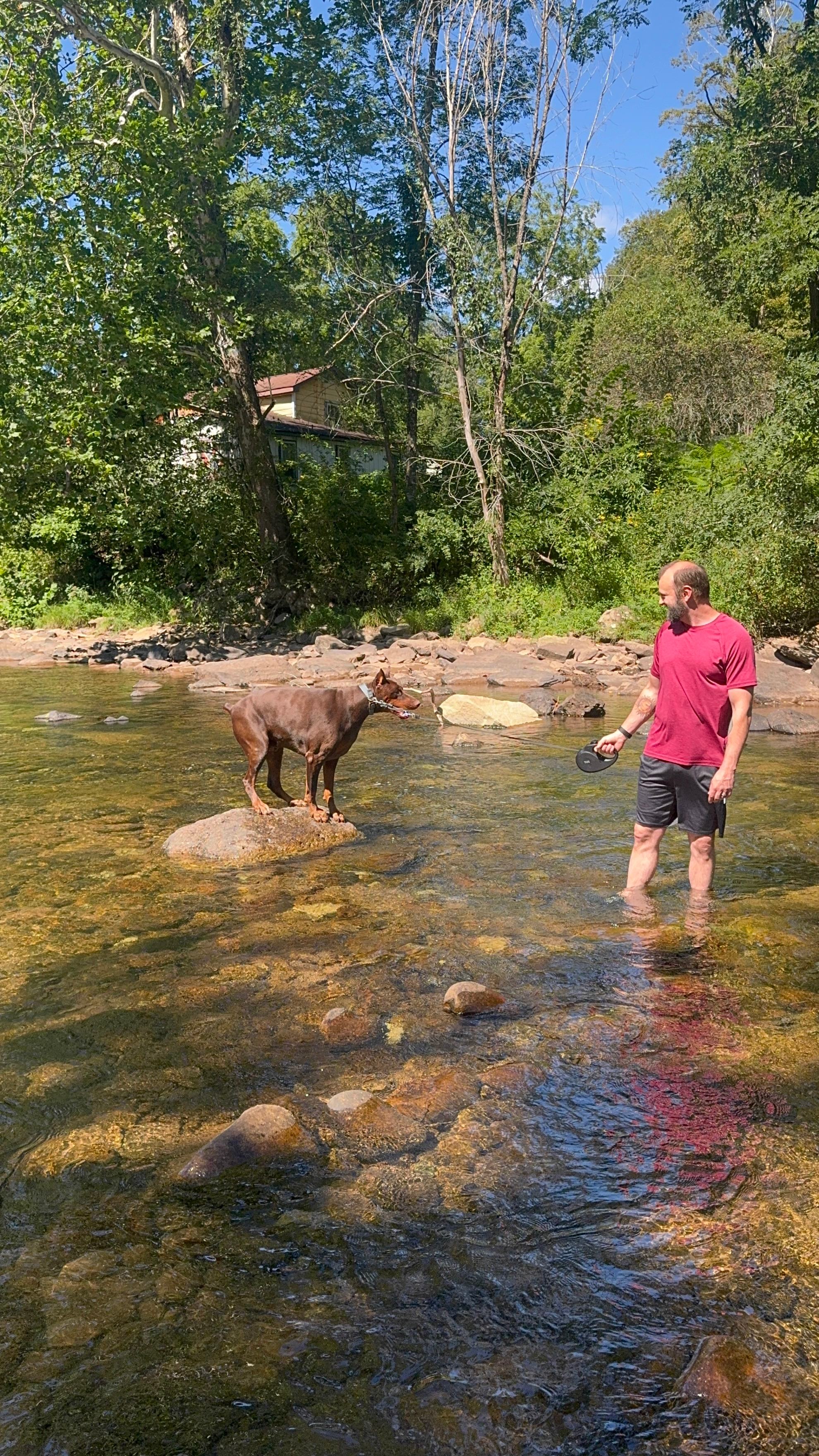 Revelle's River Resort