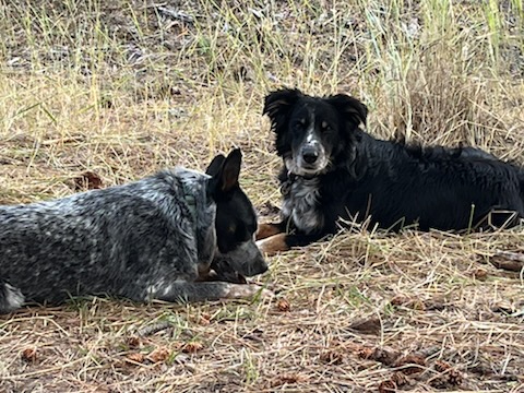 Triple Bridges Campground