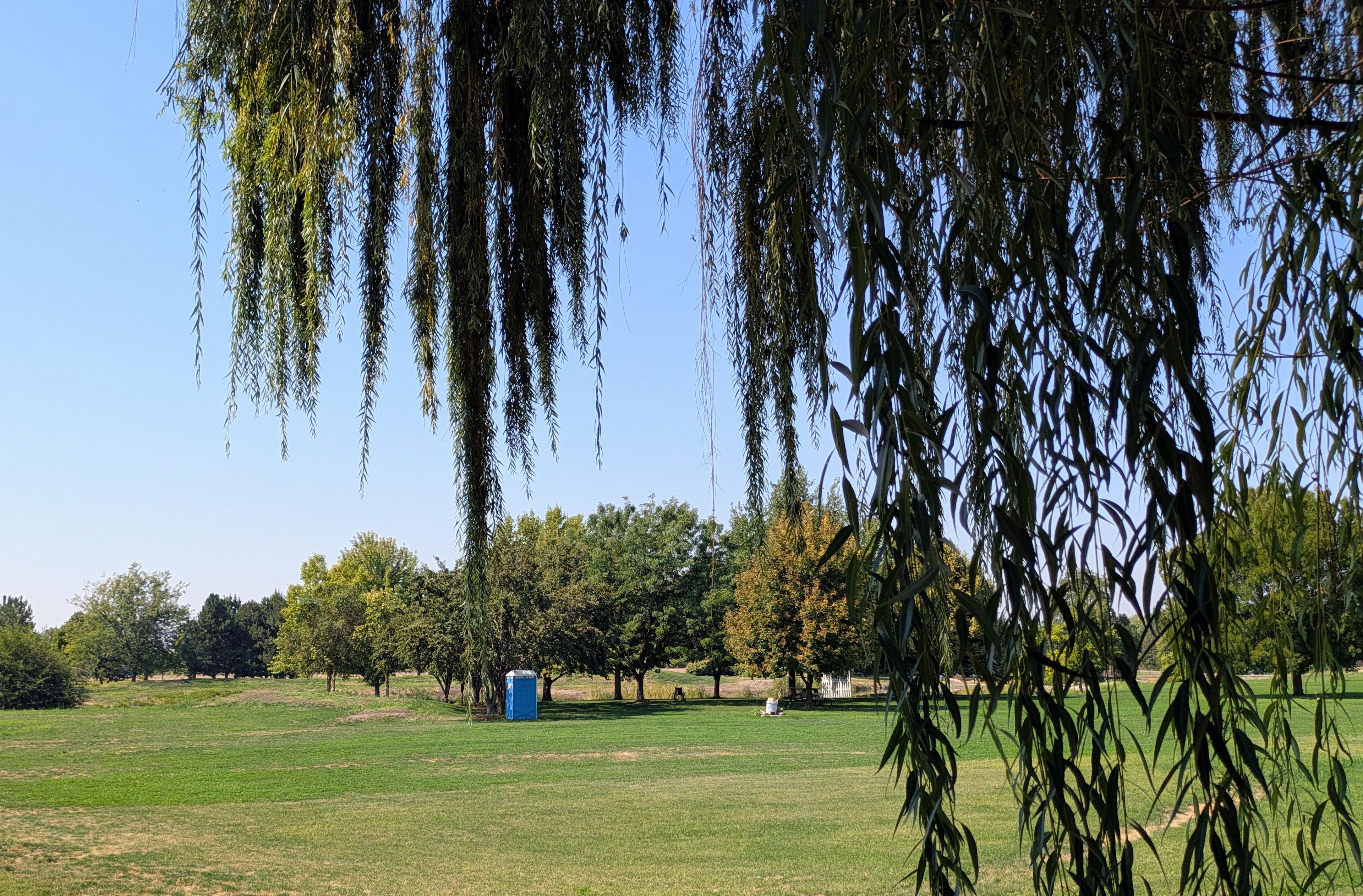 Trees on The Move Park