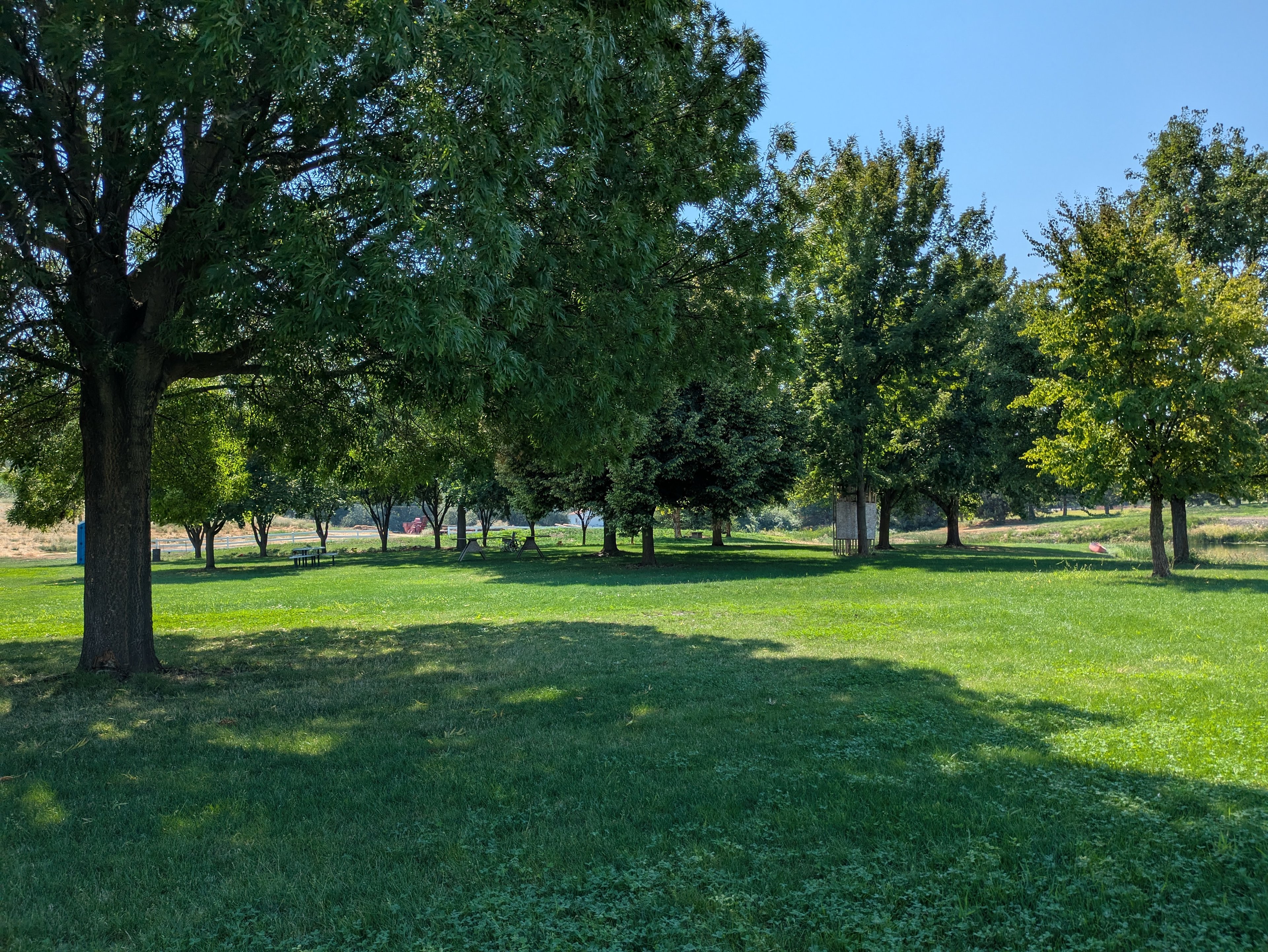 Trees on The Move Park