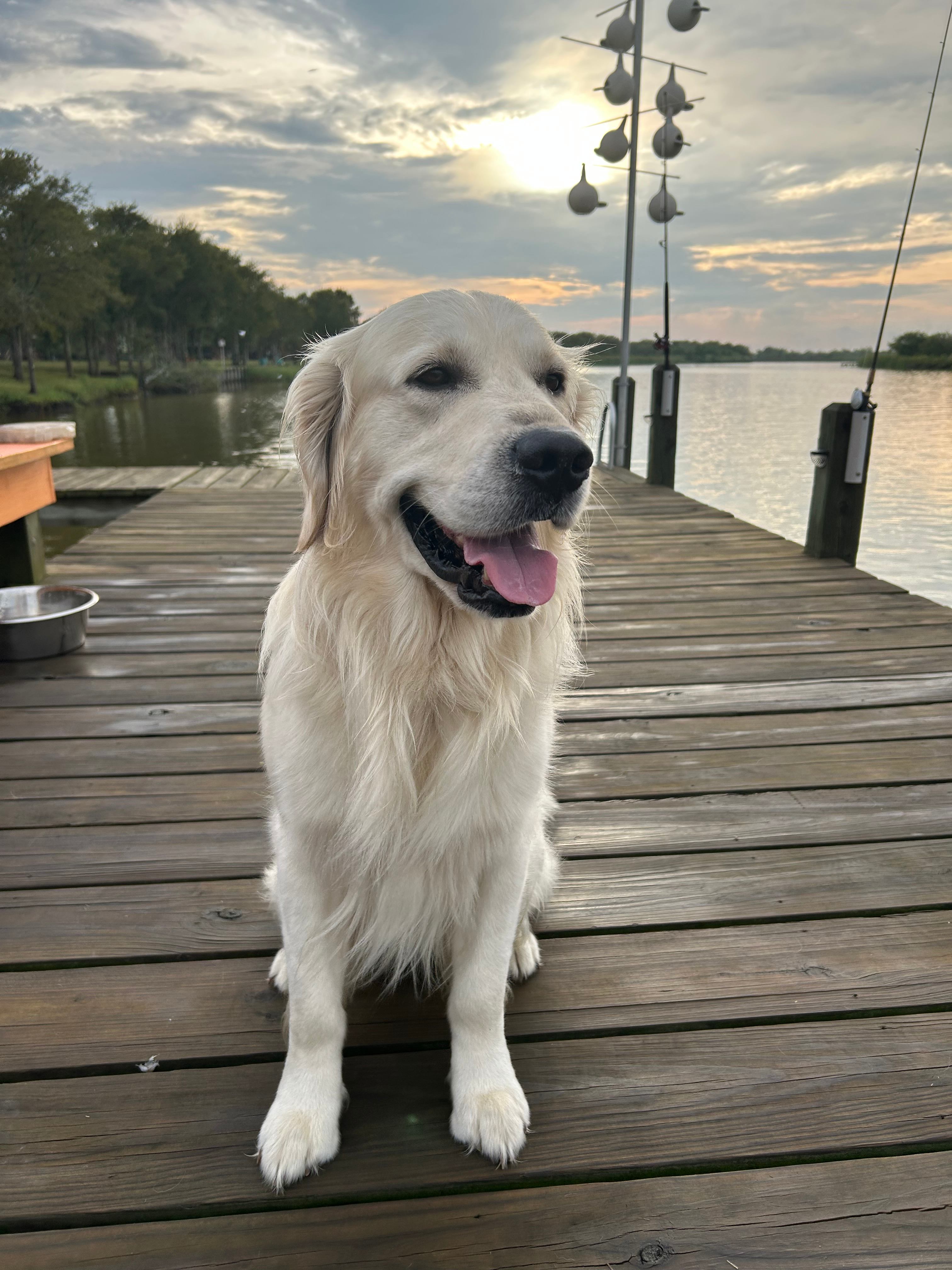 Bella's Place on The Bayou