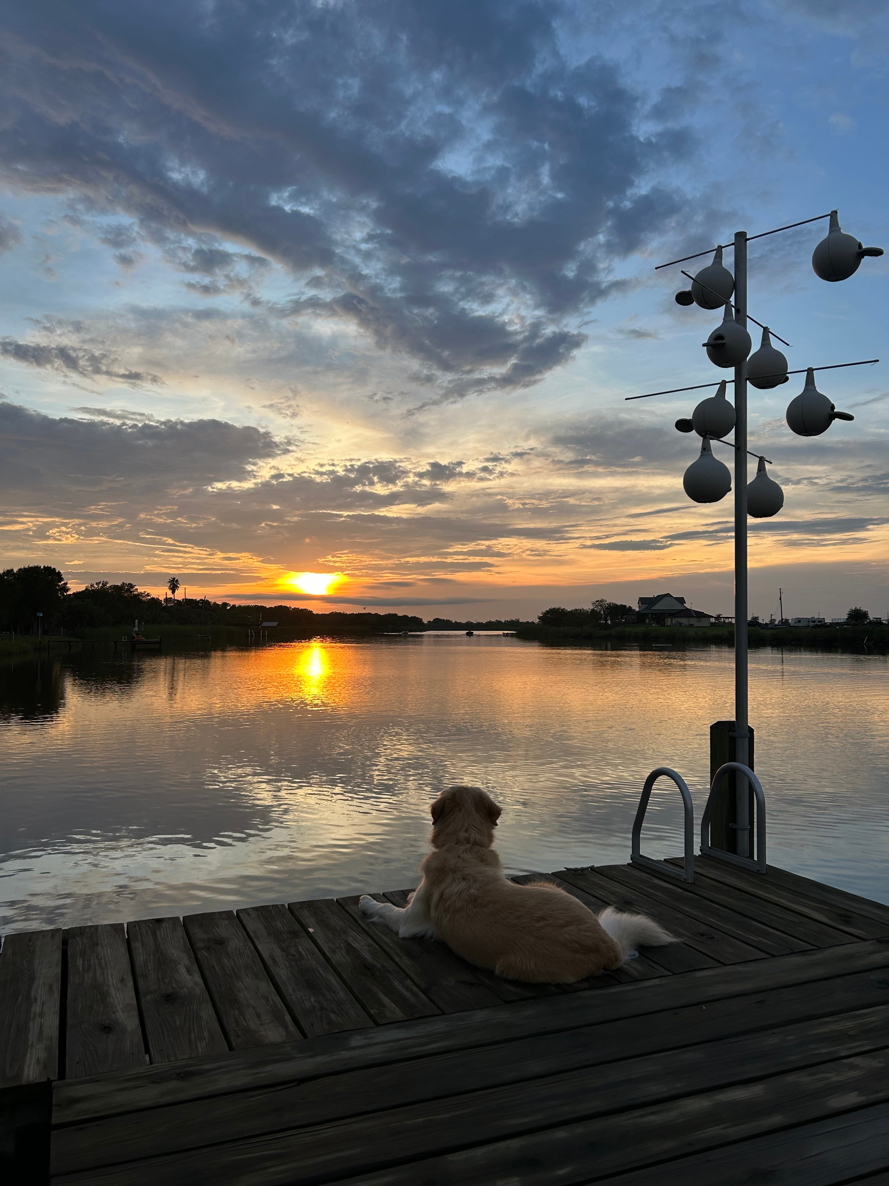 Bella's Place on The Bayou