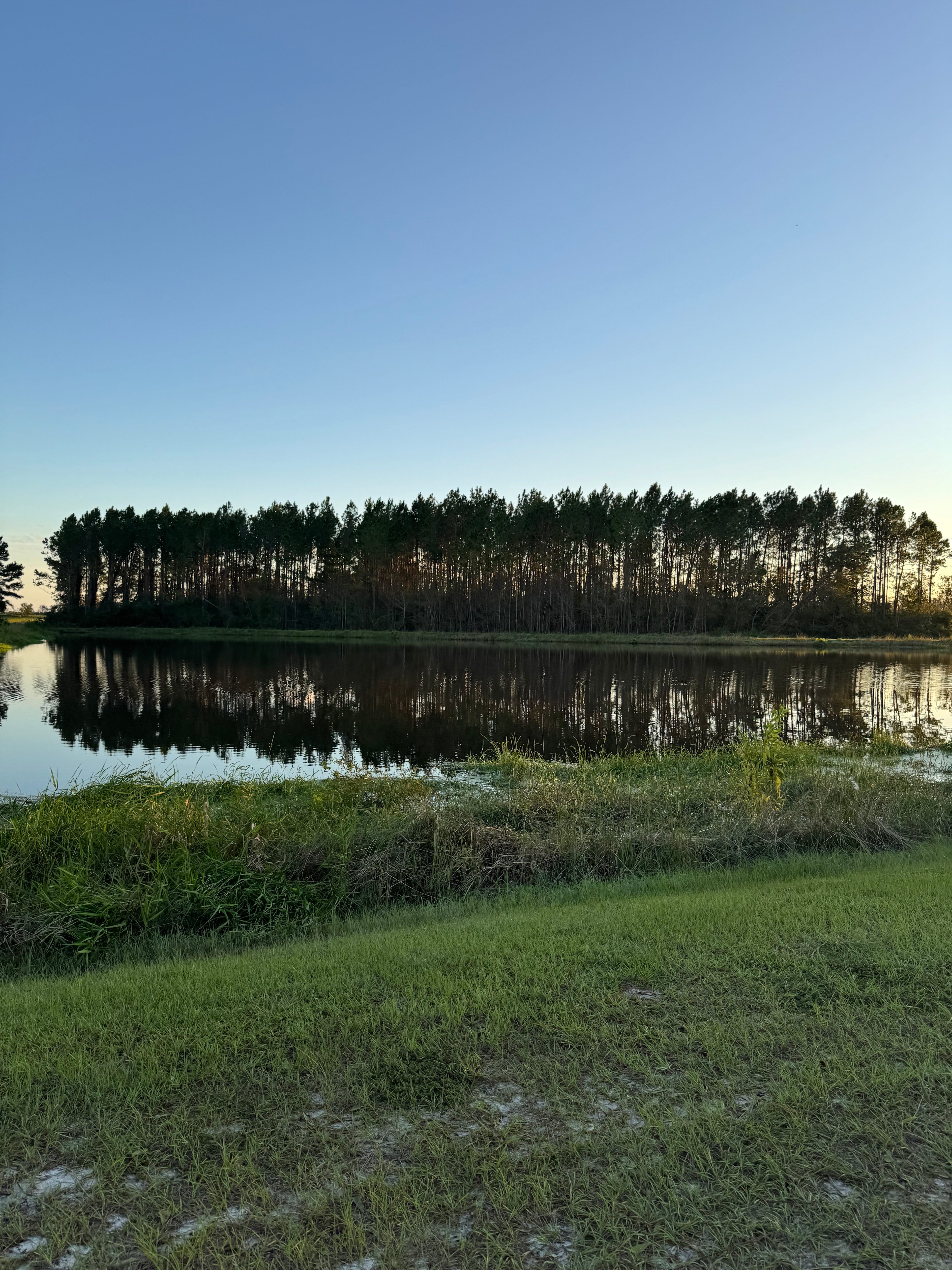 Pragma Farms