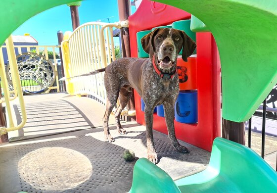 Adult Only & Pet Friendly - Prime Tourist Park