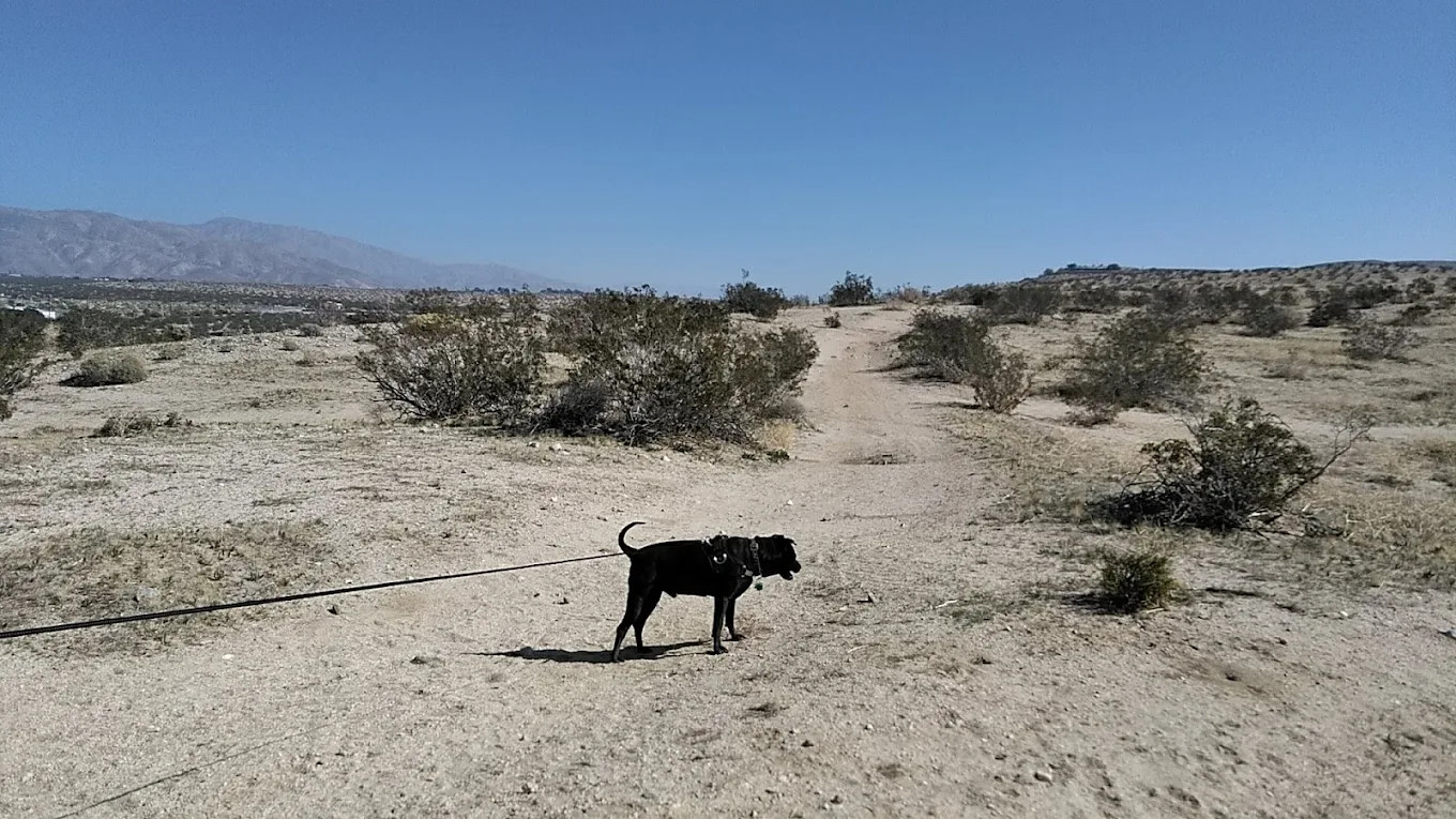 Wagner Mobile Home & RV Park