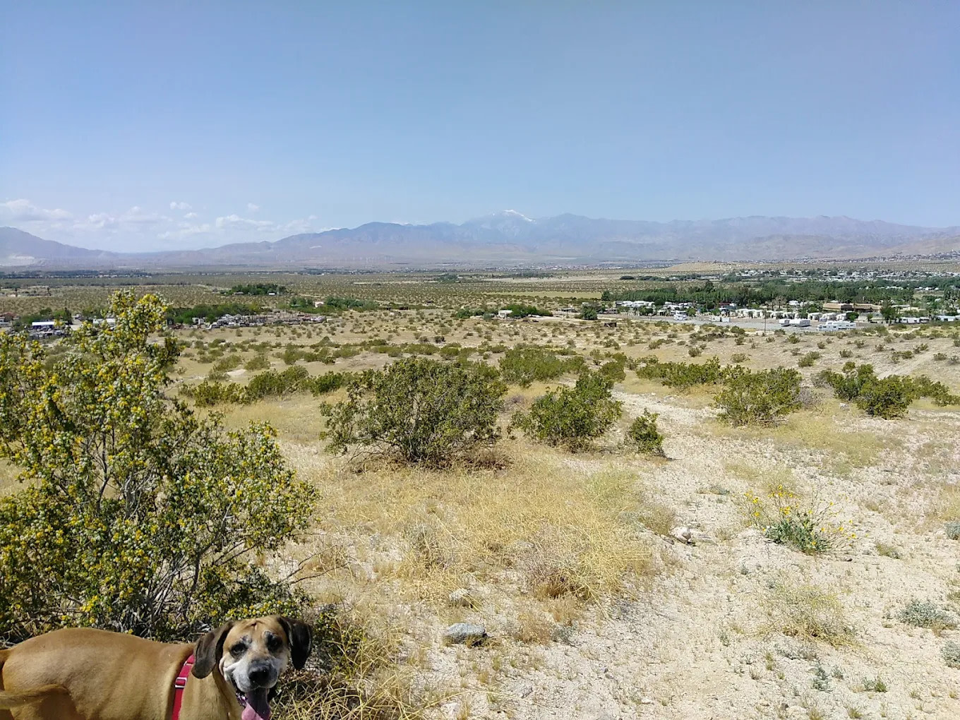 Wagner Mobile Home & RV Park