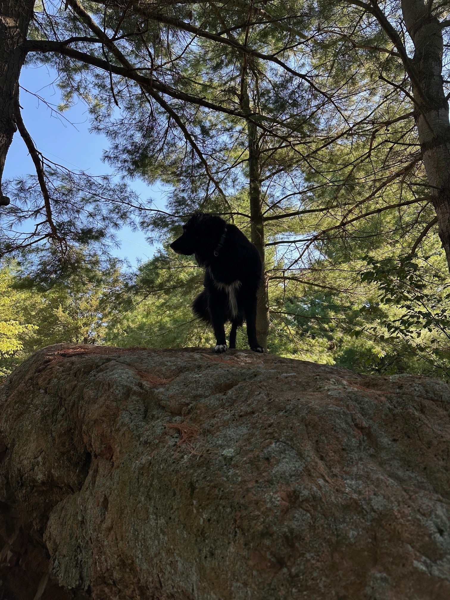 Family Friendly Lakefront Property