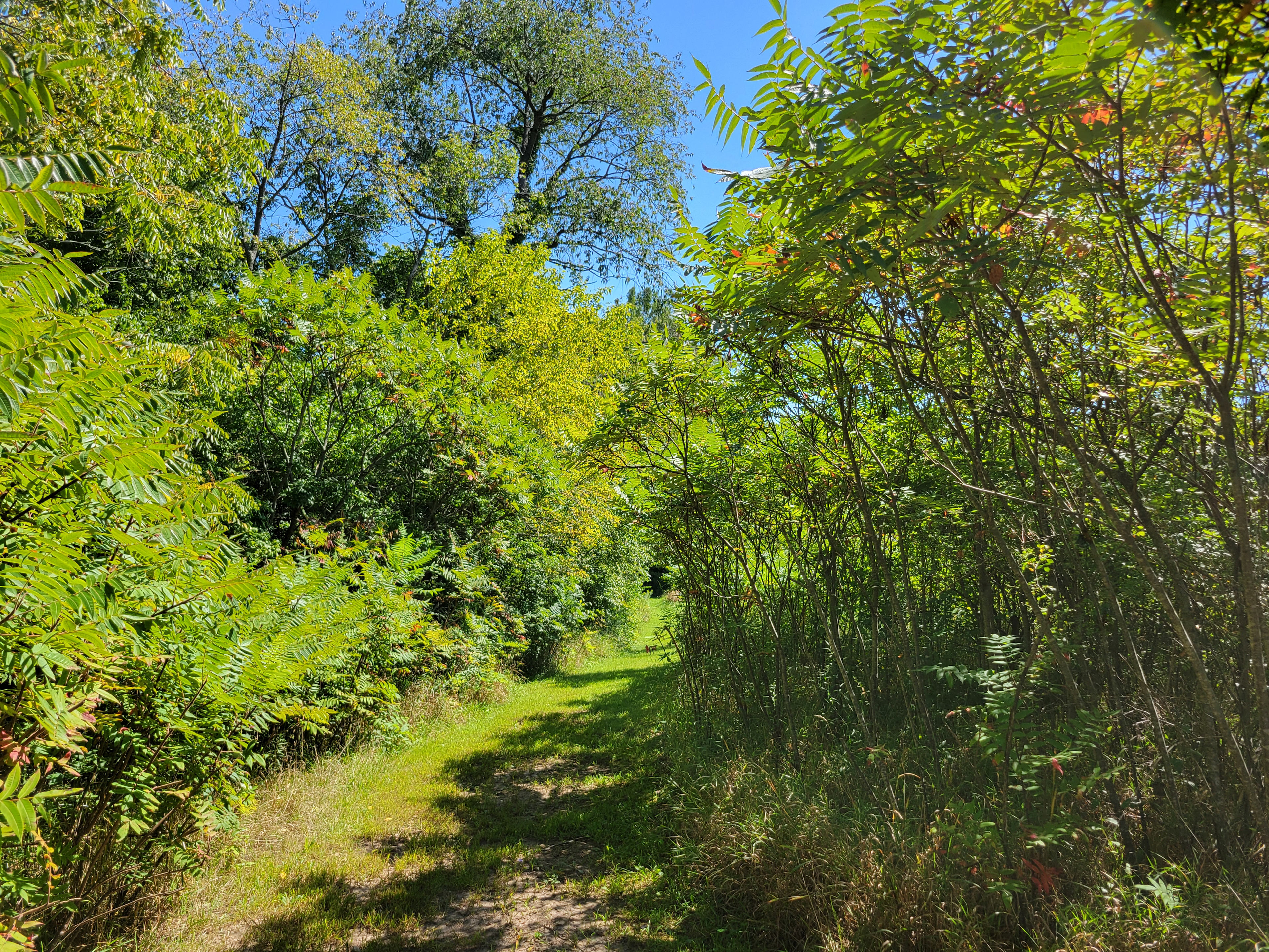 Walnut Woods Farm