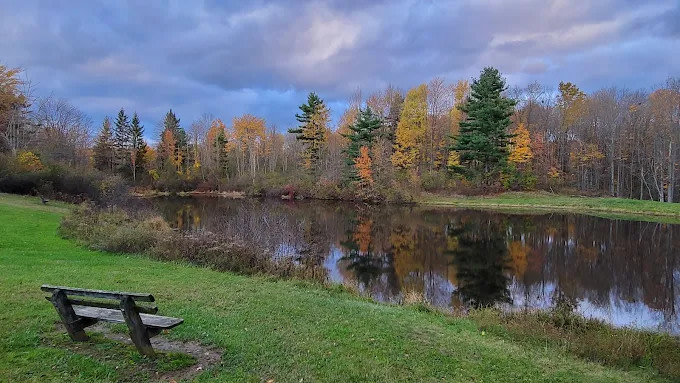 Big Creek Park