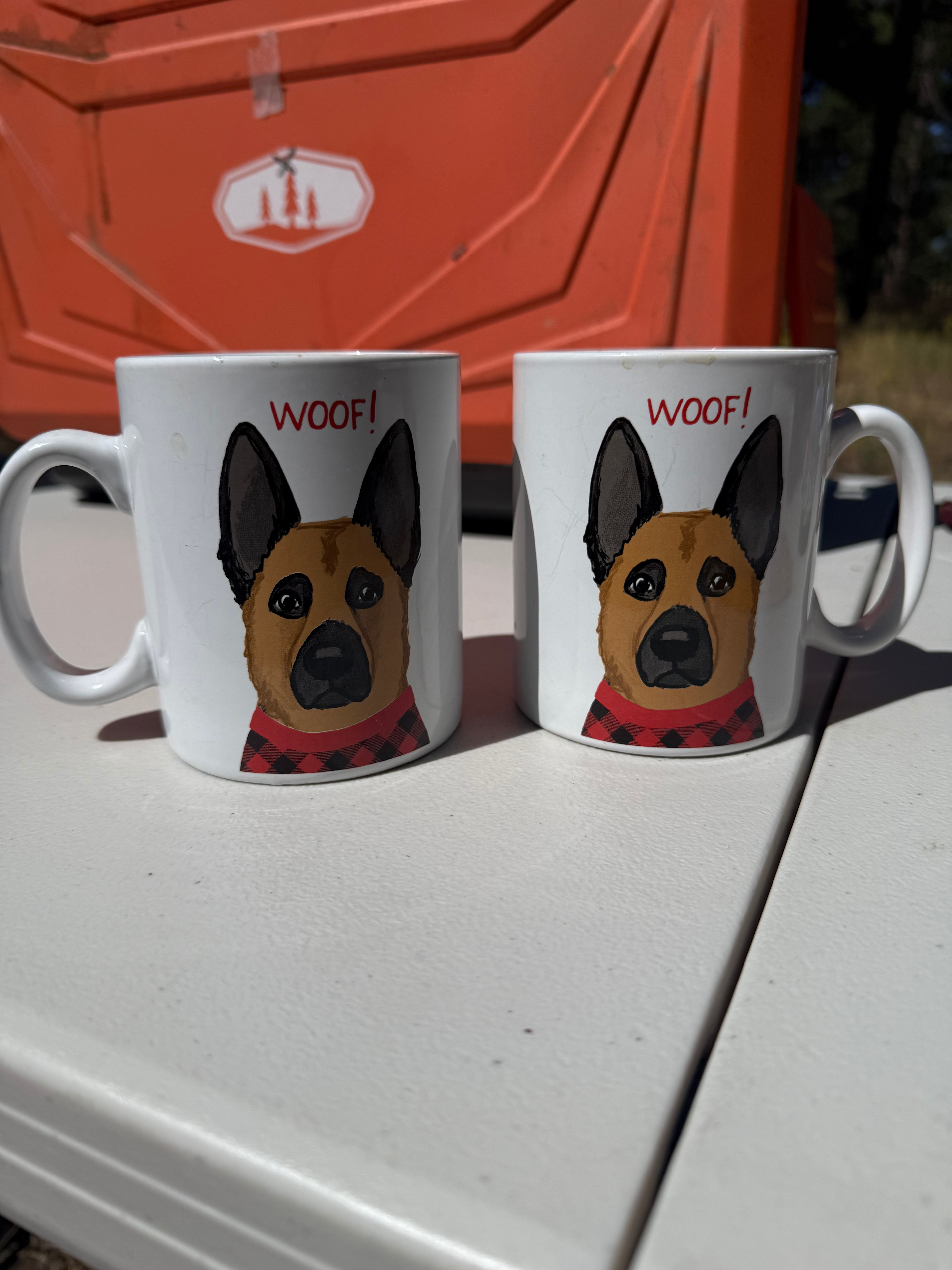 120 Acre Animal Sanctuary