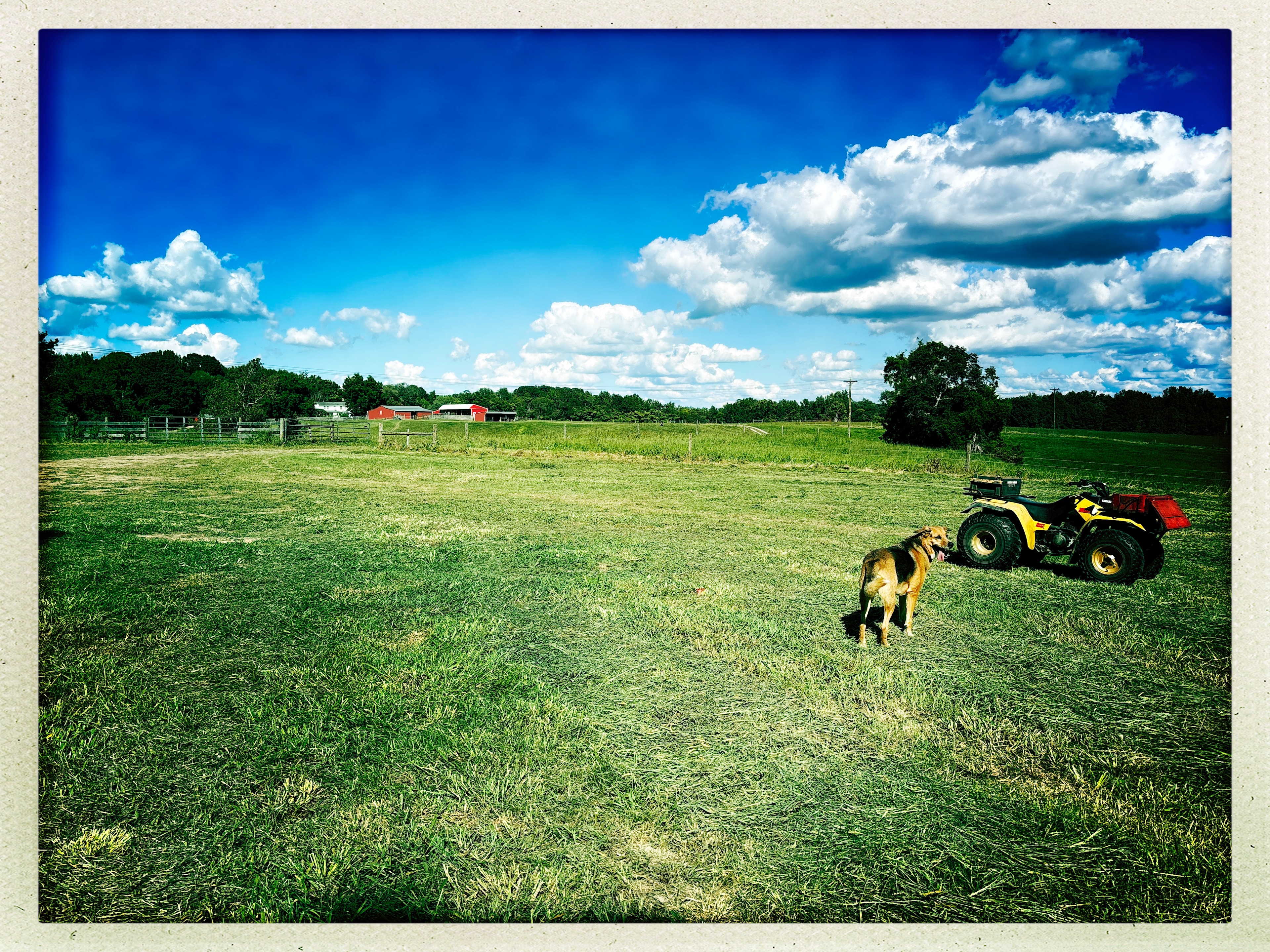 East view from site. 