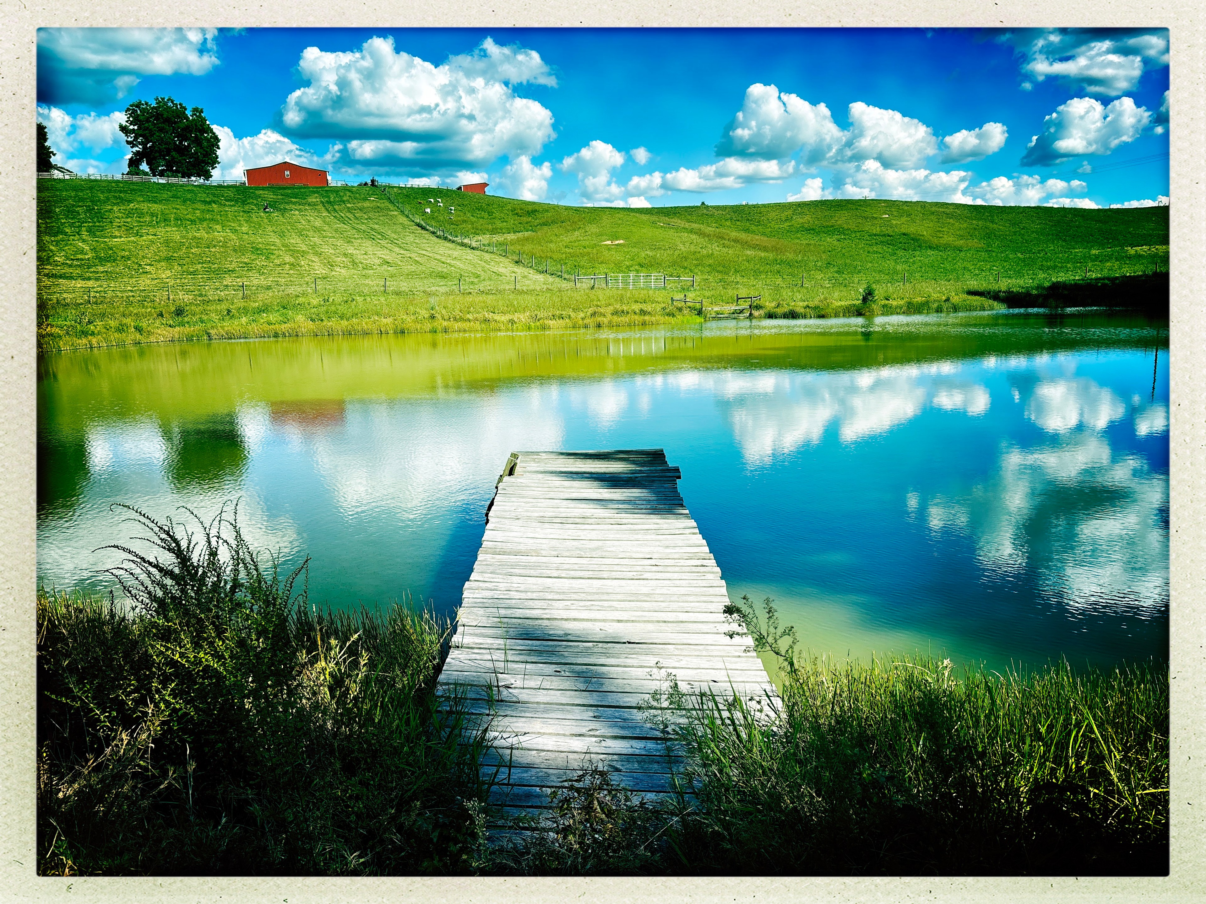 Swimming and fishing pond. 