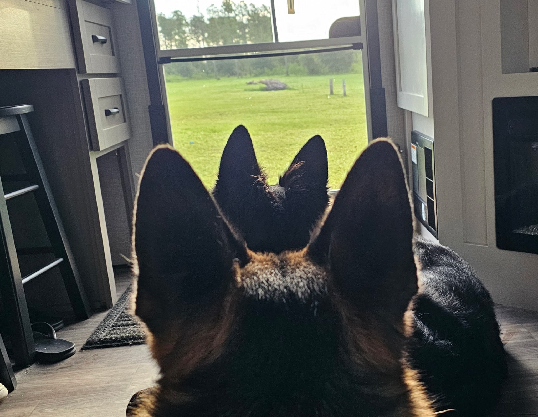 Looking out of the RV, east