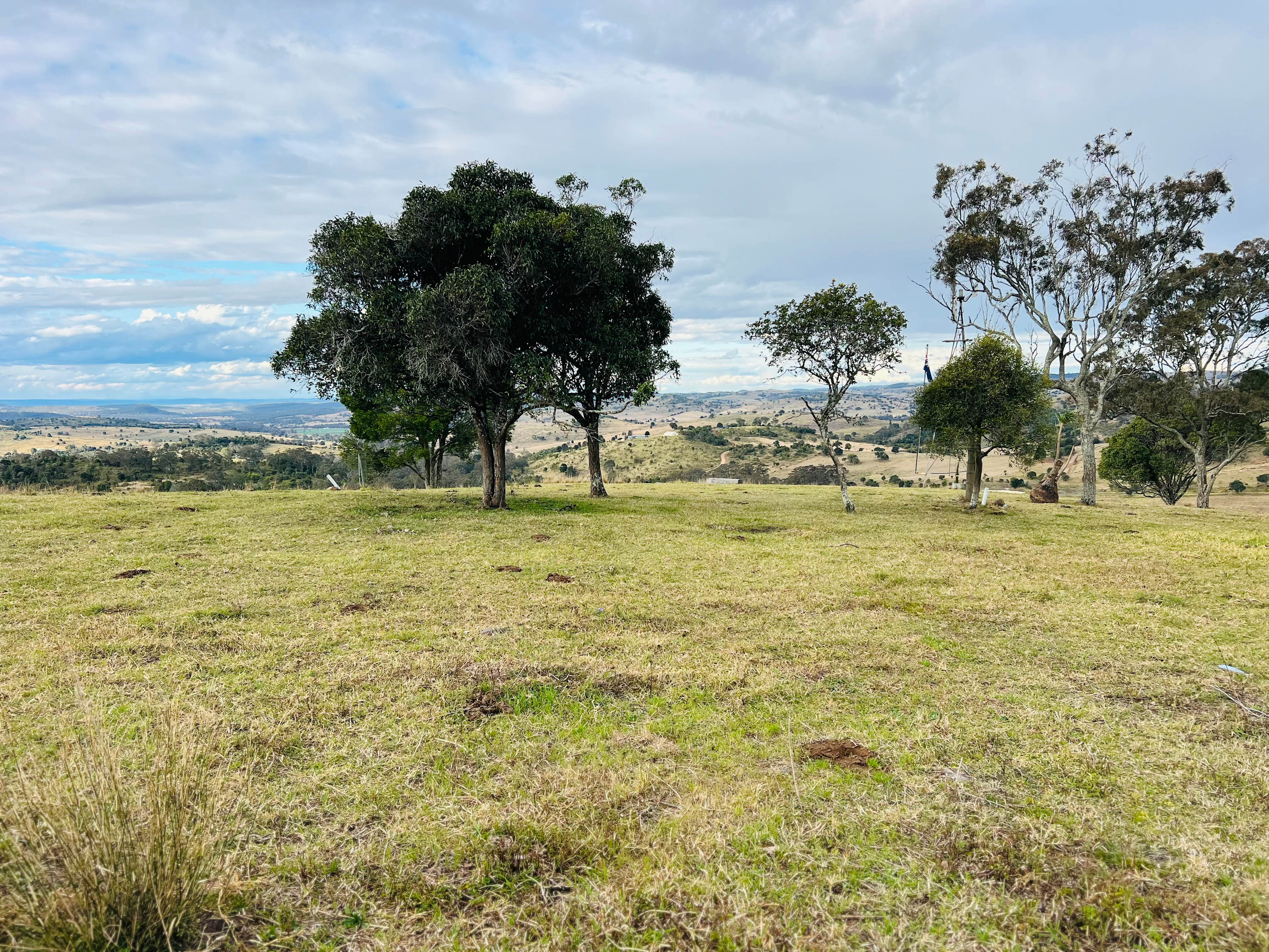 The Wahoon Lookout