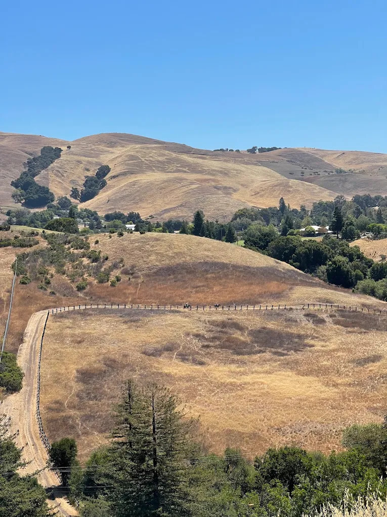 Youth Area Group Campsite