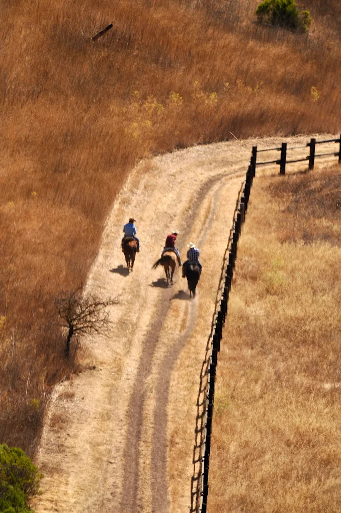 Youth Area Group Campsite