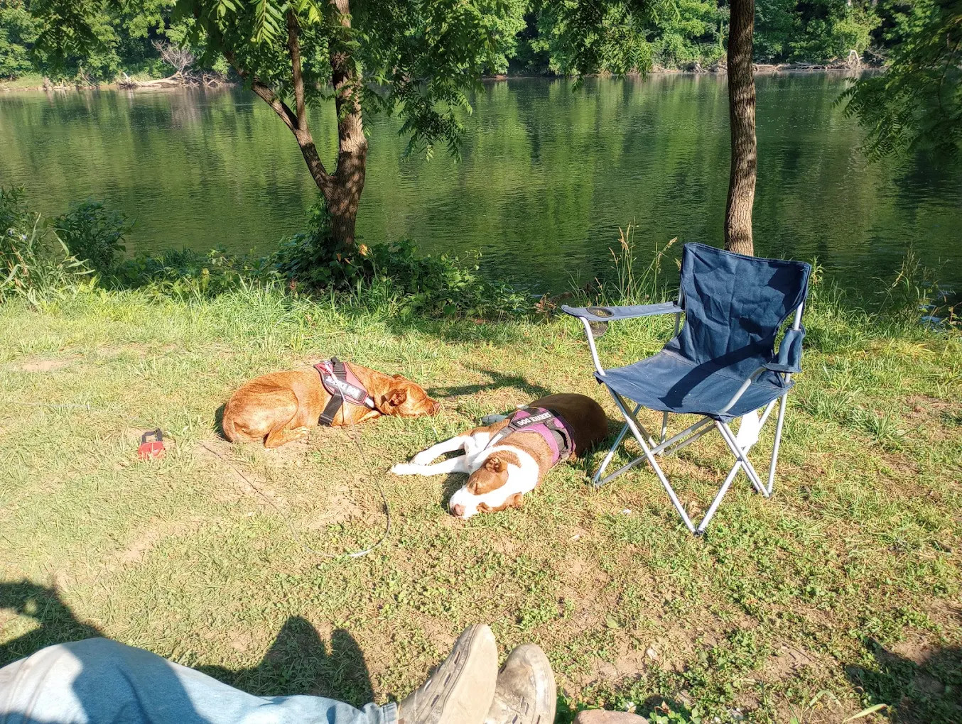 Eggleston Springs Campground