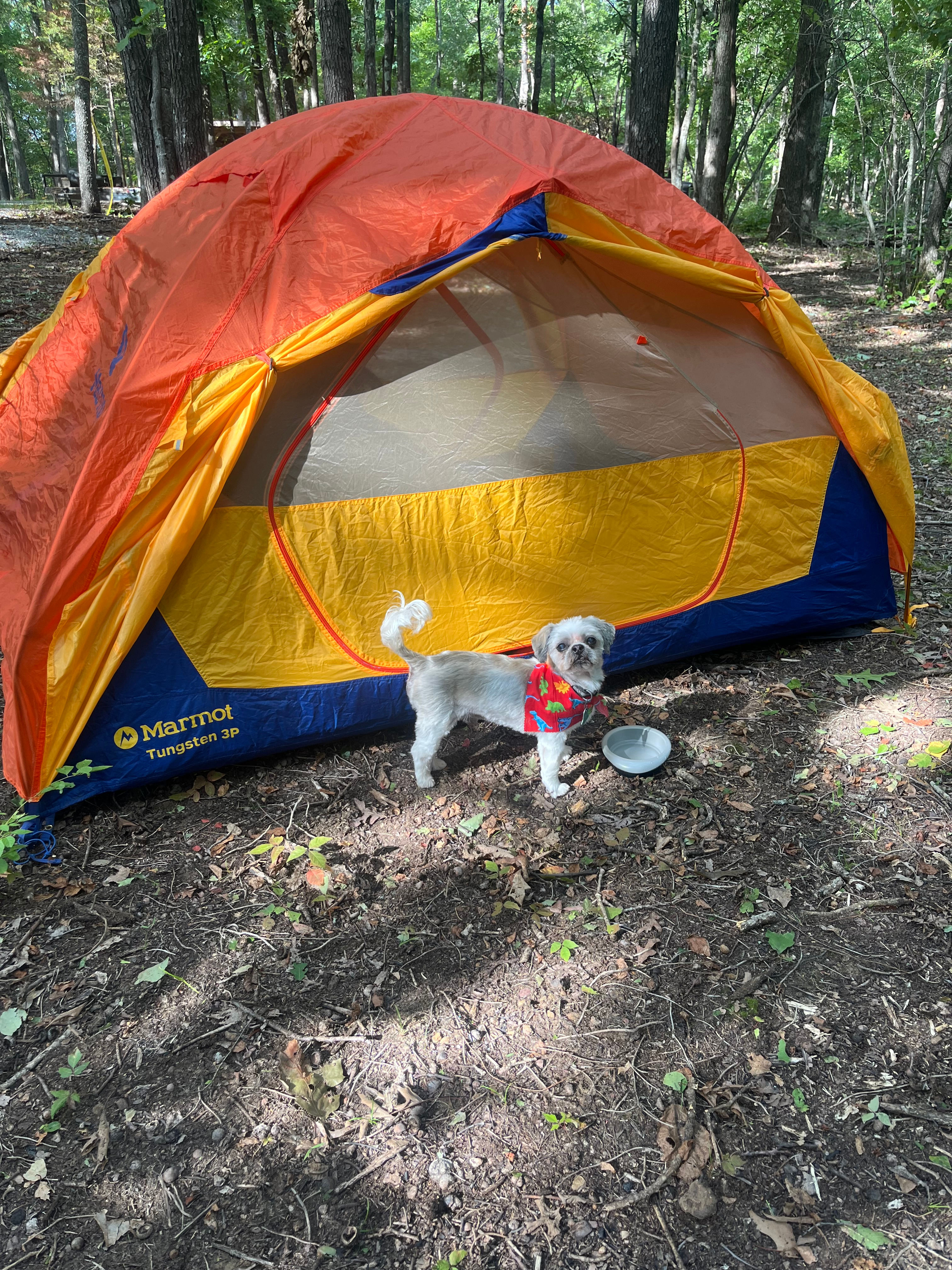Secluded Camp near Buffalo River