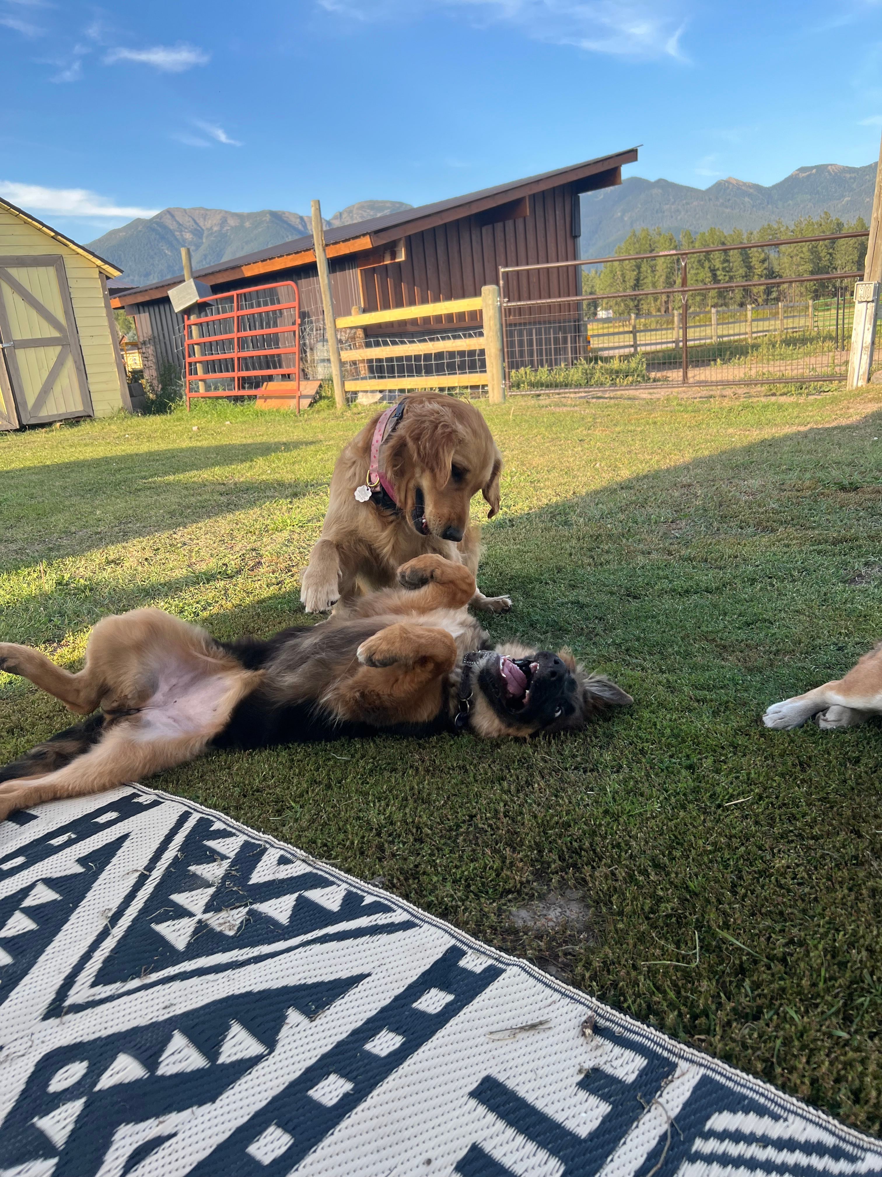 Honeys Place RV Spot