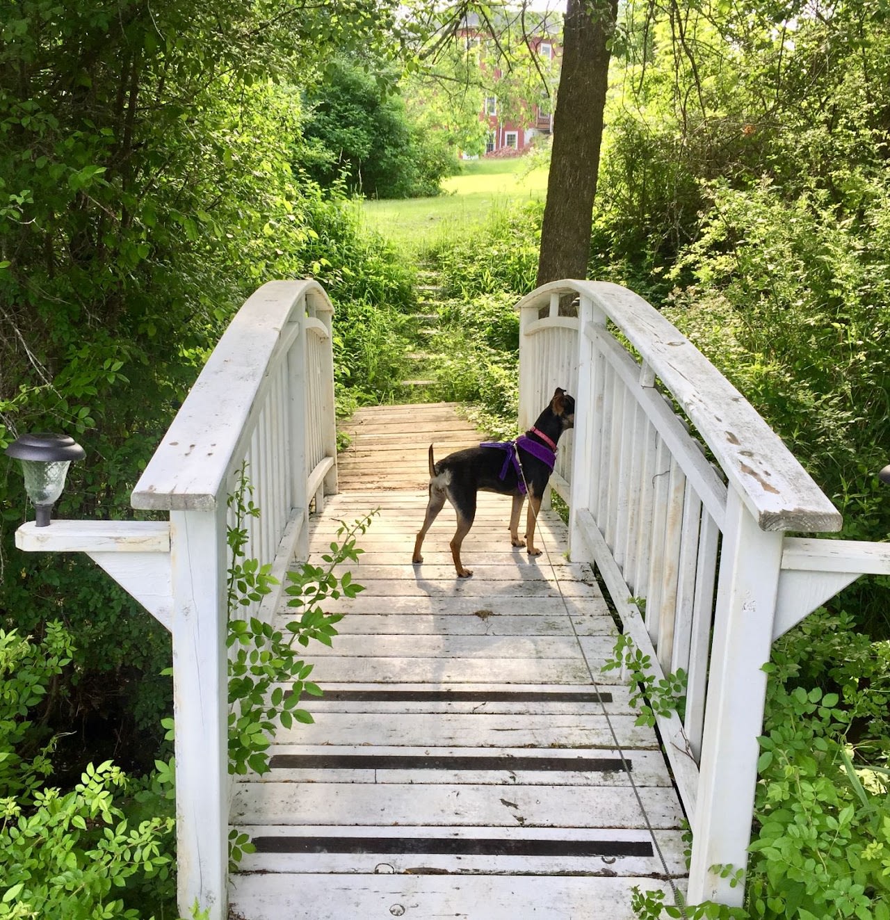 Green Valley Campground