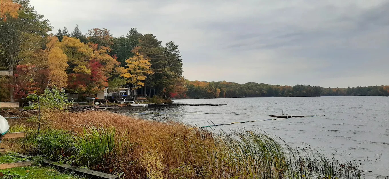 Gullwing Lake Resort