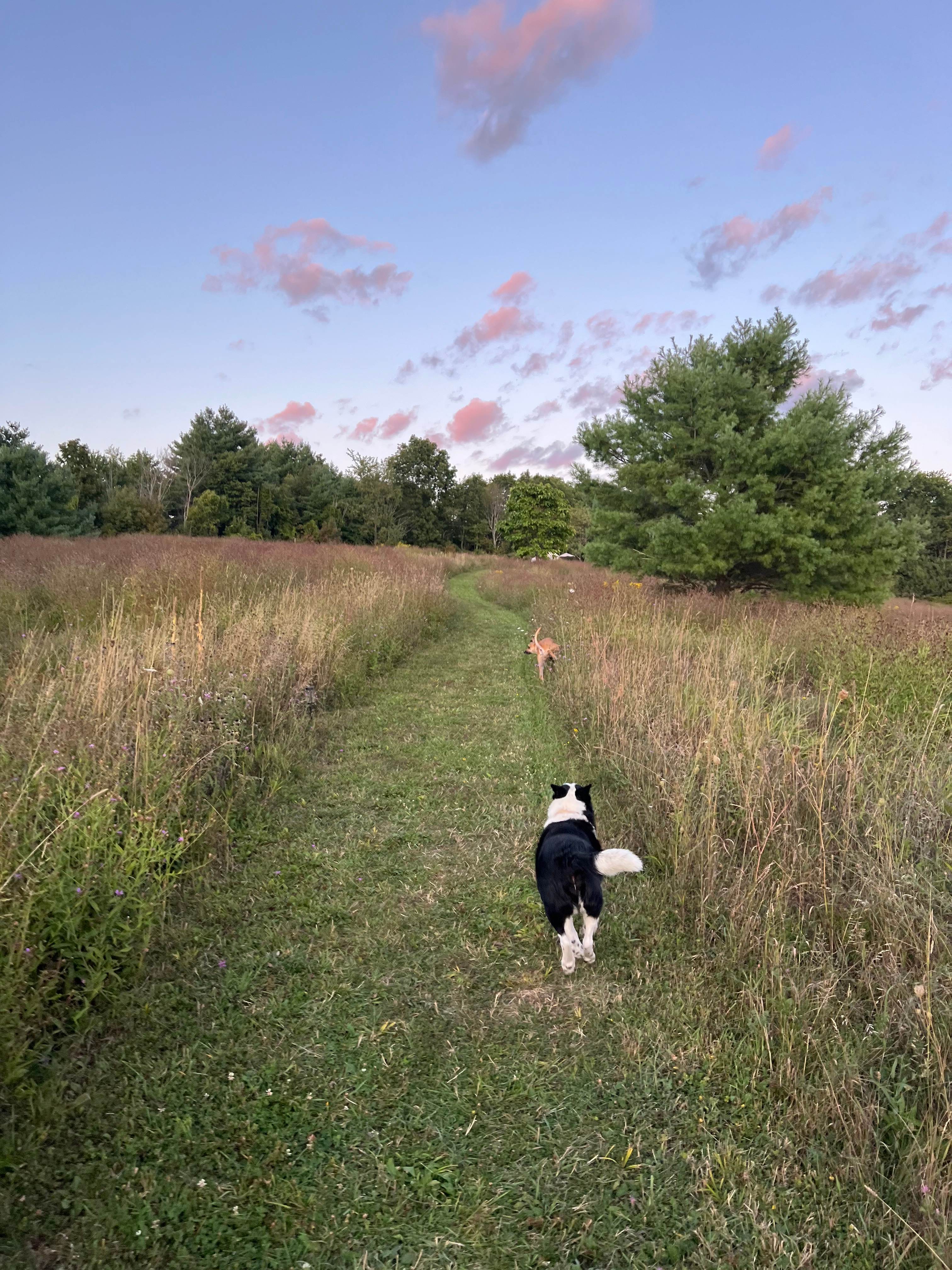 The path from the parking area