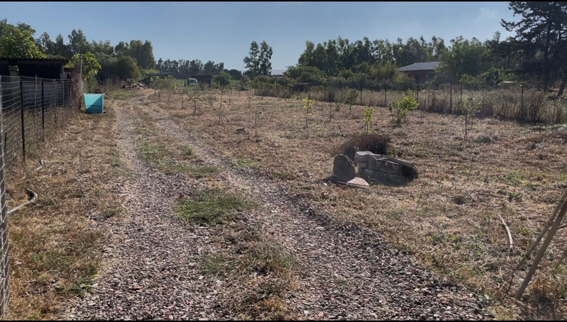 The Garden in Sardinia