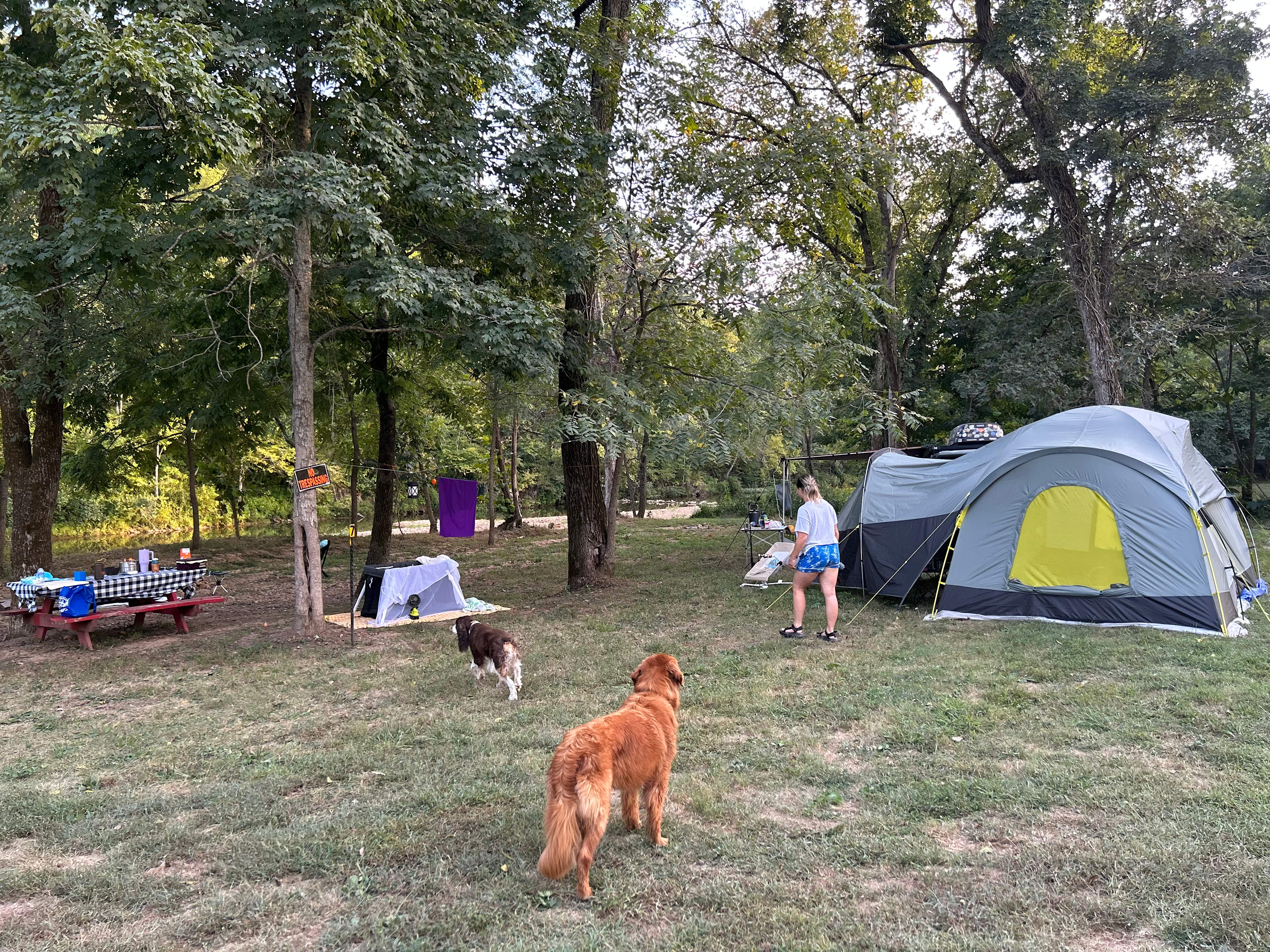 Sycamore Springs Campground