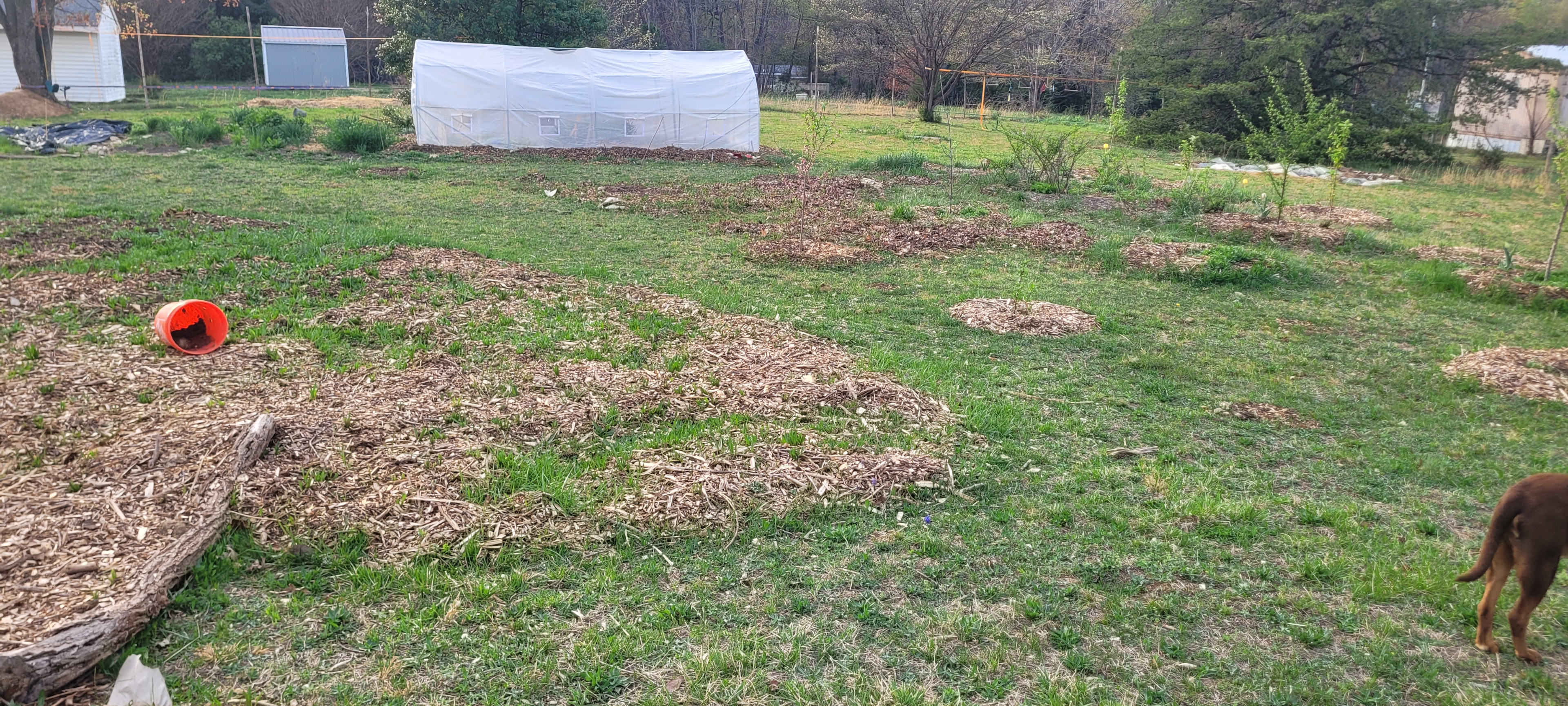 The Garden Patch